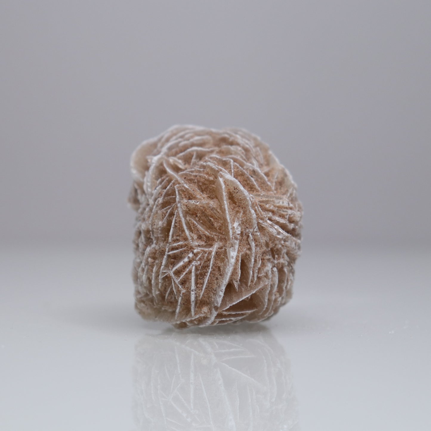 Desert Rose Cluster | 3