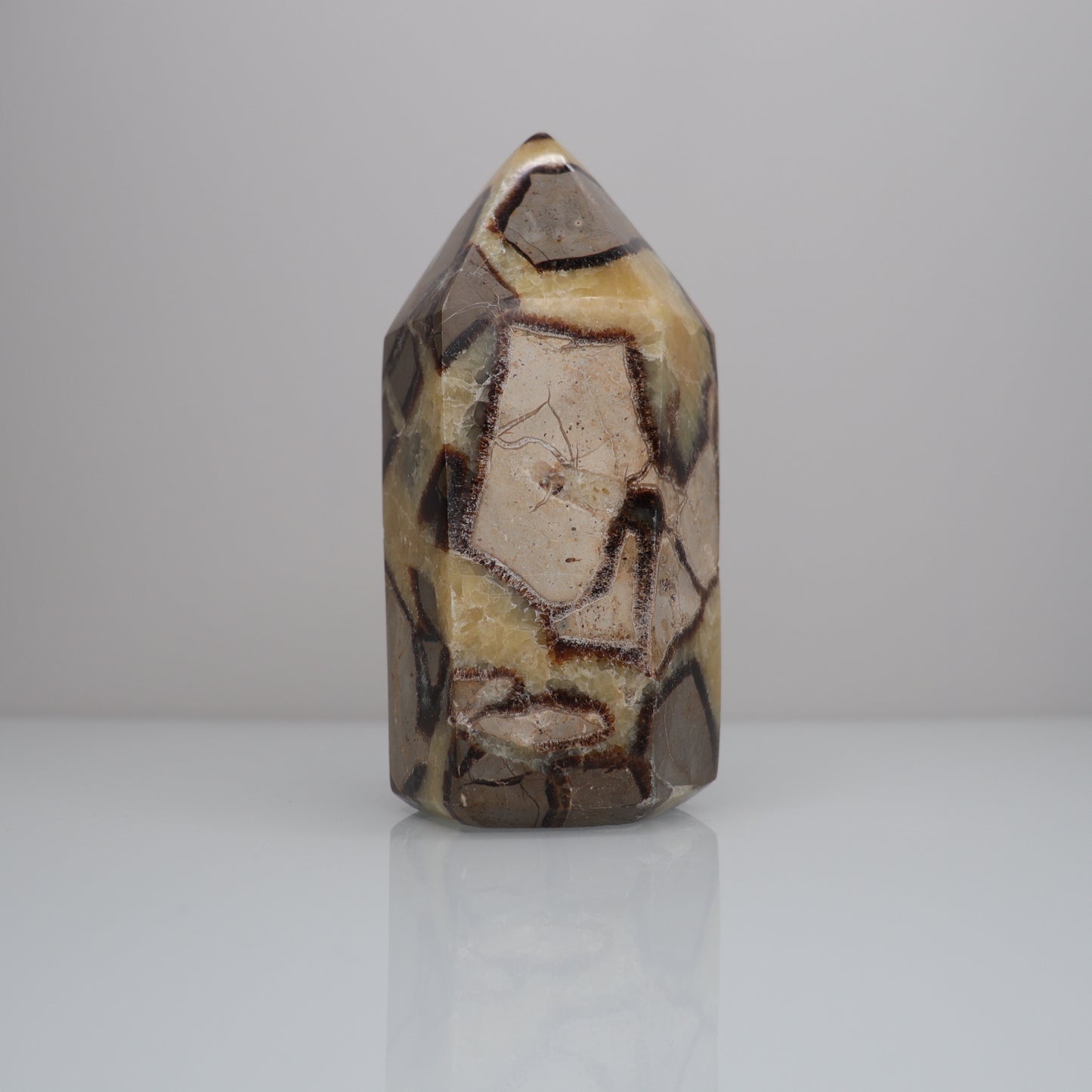 Septarian Tower | 1