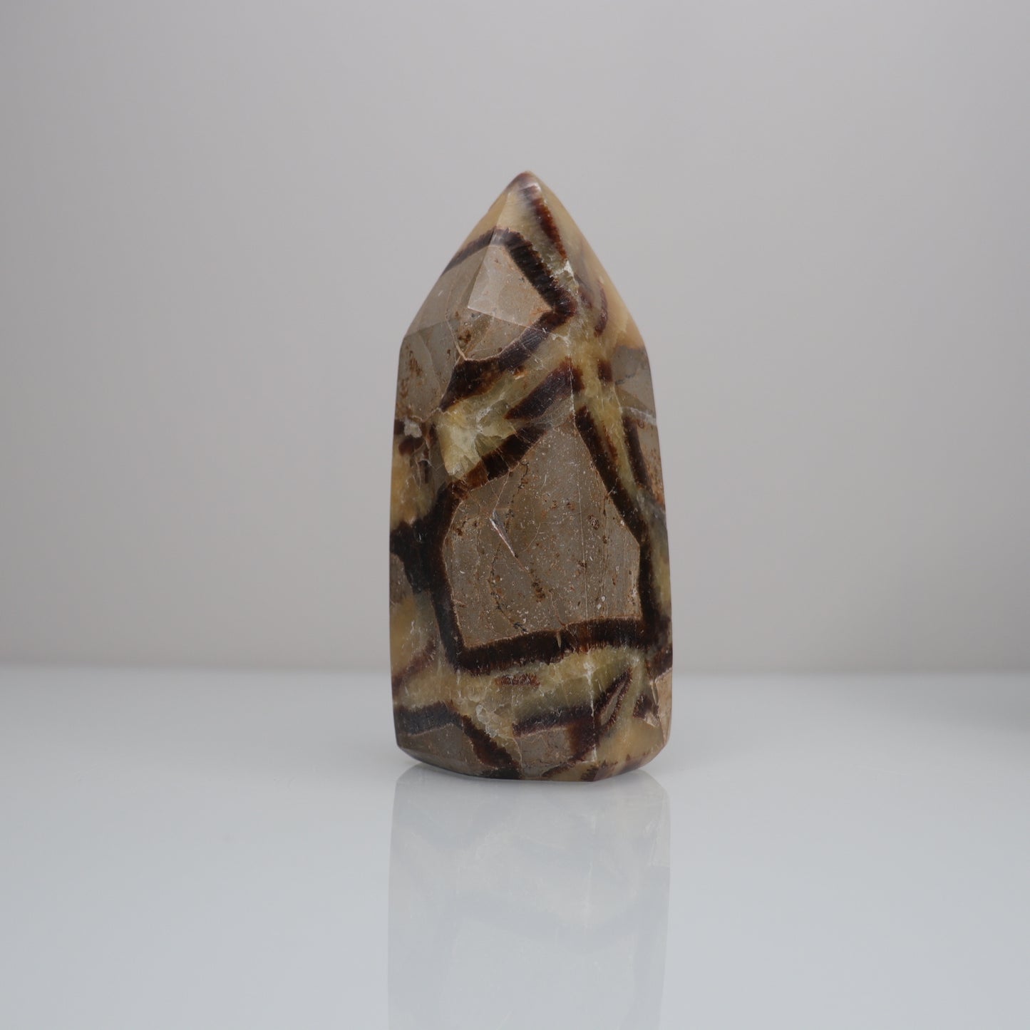 Septarian Tower | 4