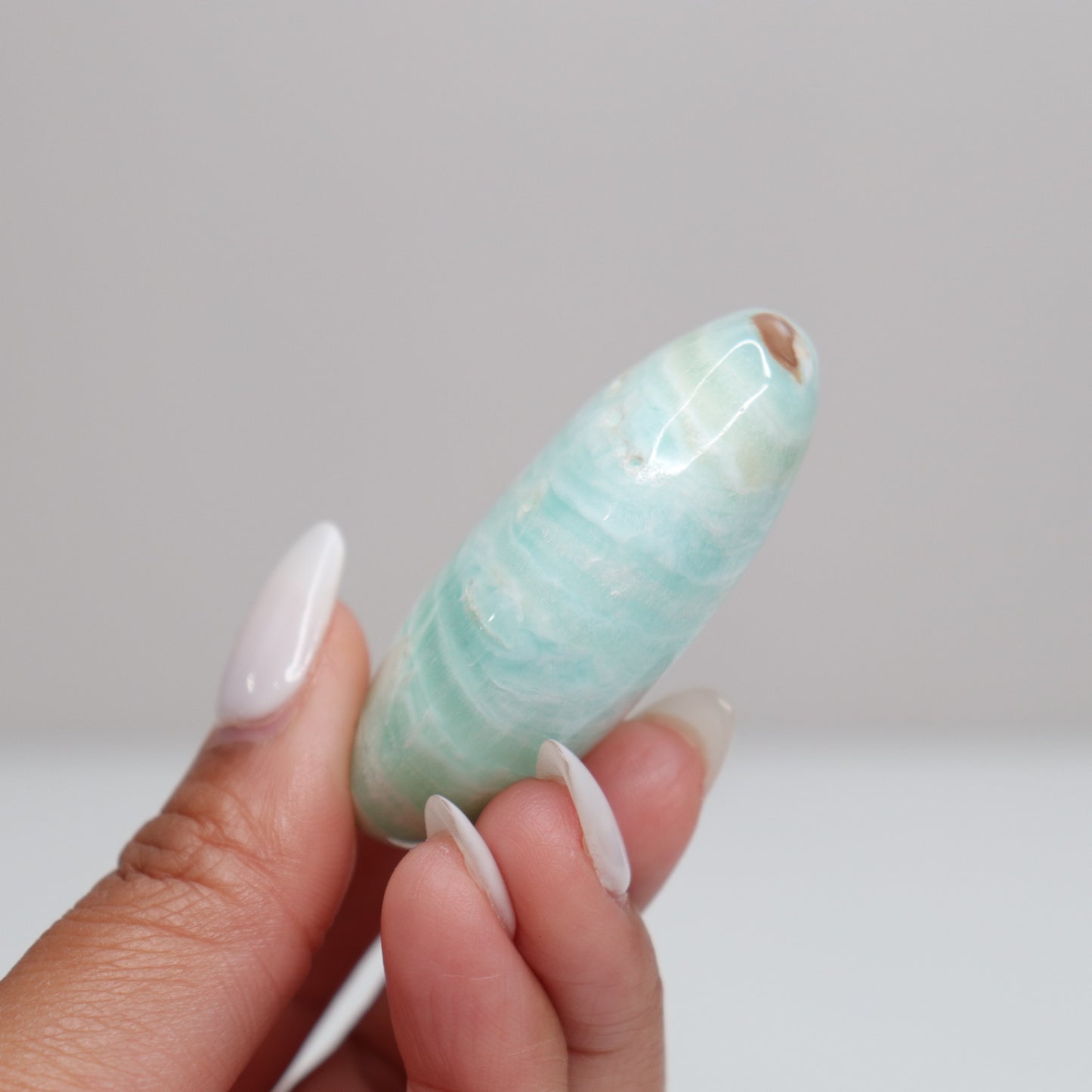 Caribbean Calcite Palm Stone | H