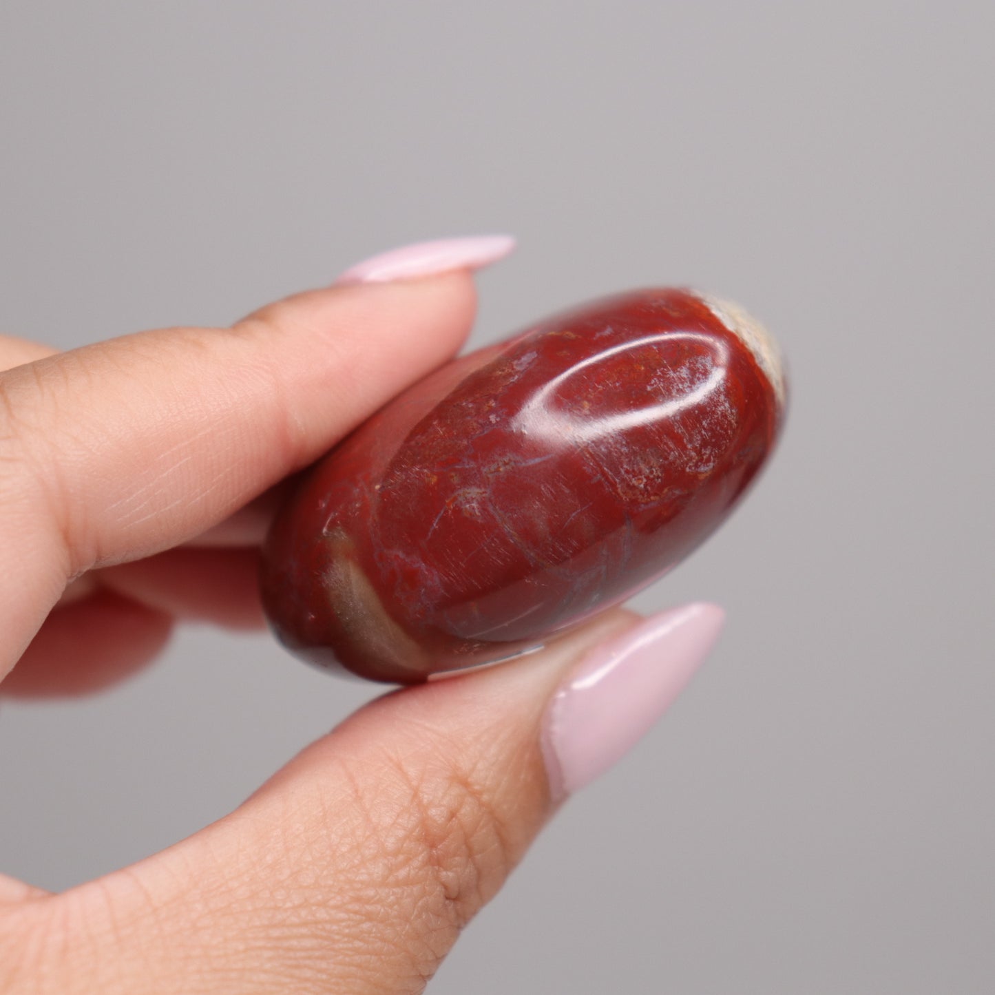 Petrified Wood Palm Stone | 8