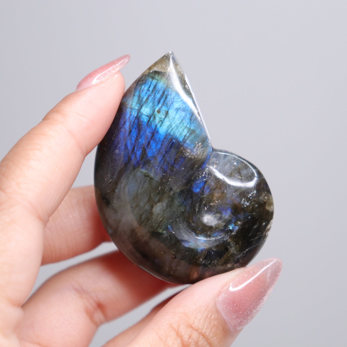 Labradorite Ammonite | 3*