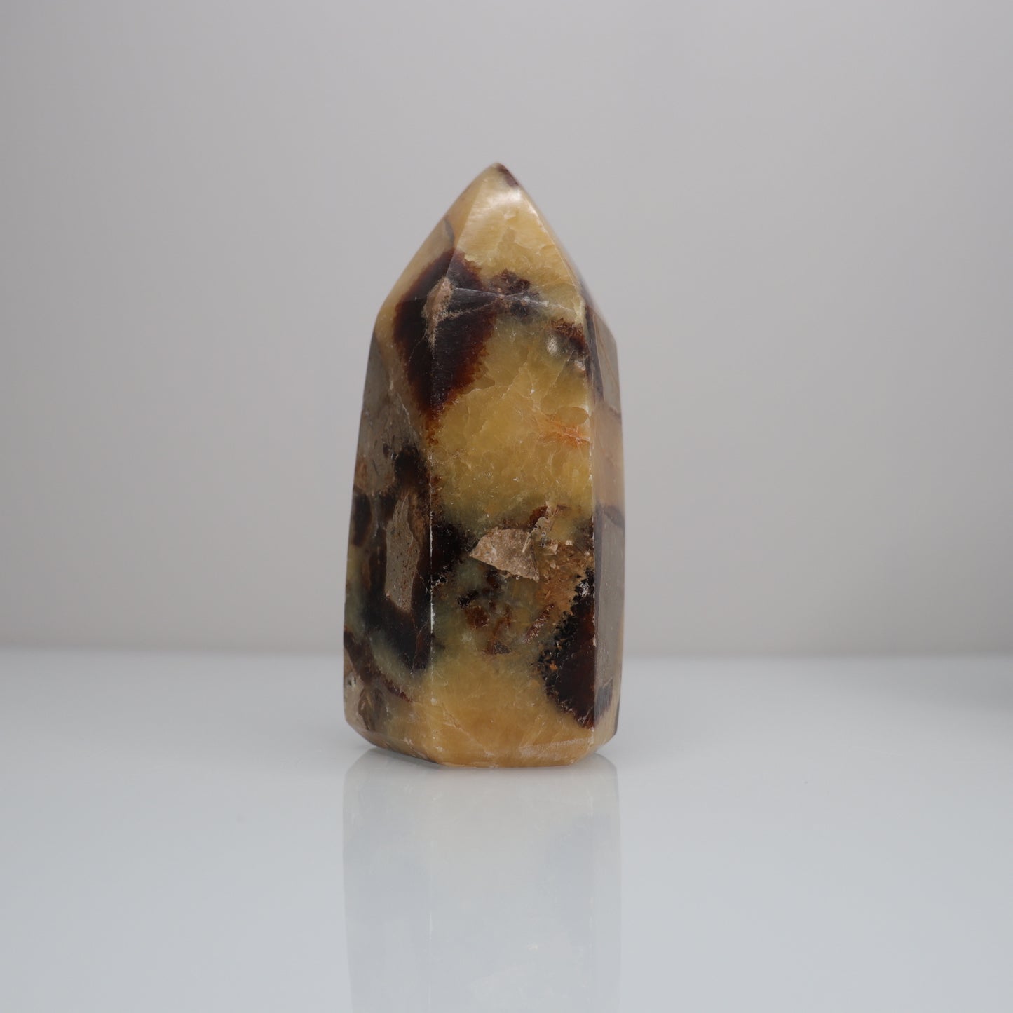 Septarian Tower | 4