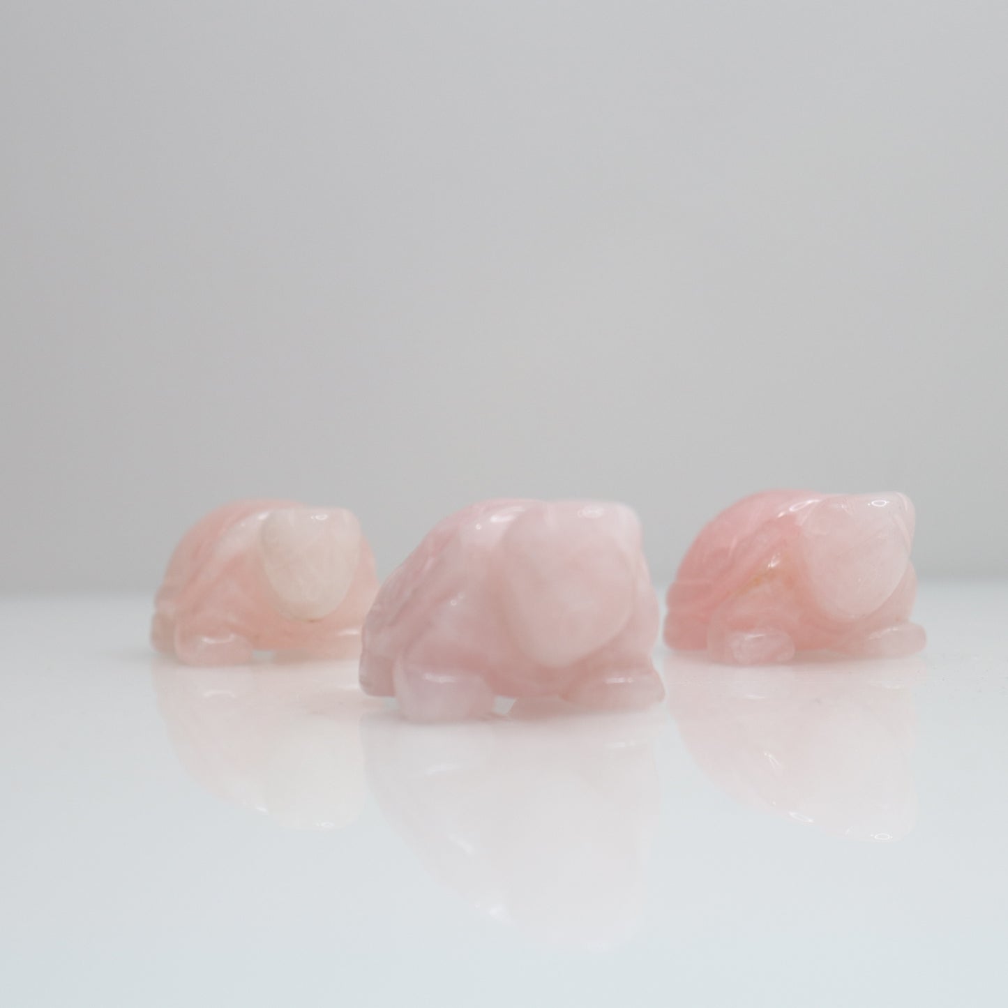 Rose Quartz Turtle | 2"