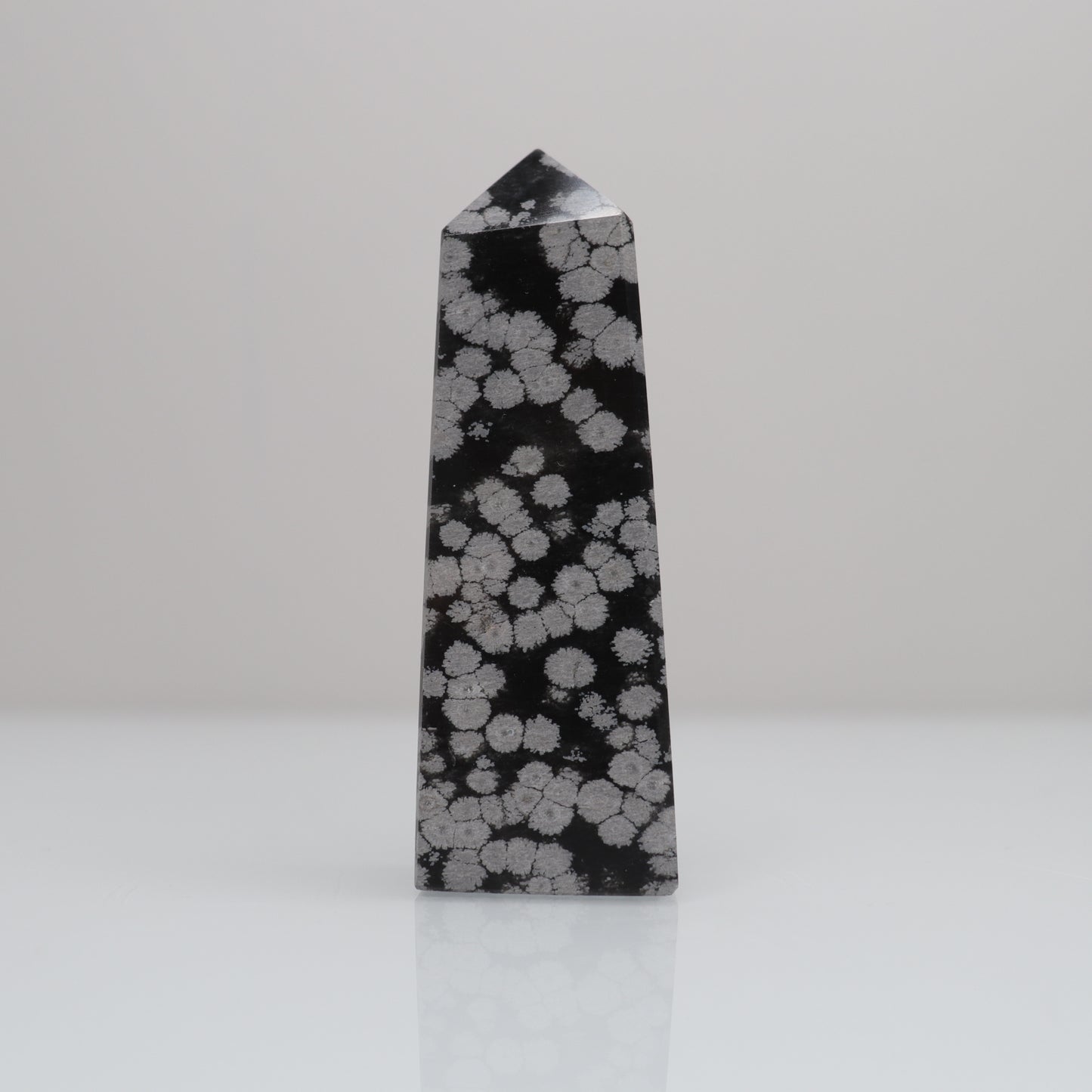 Snowflake Obsidian Tower 4