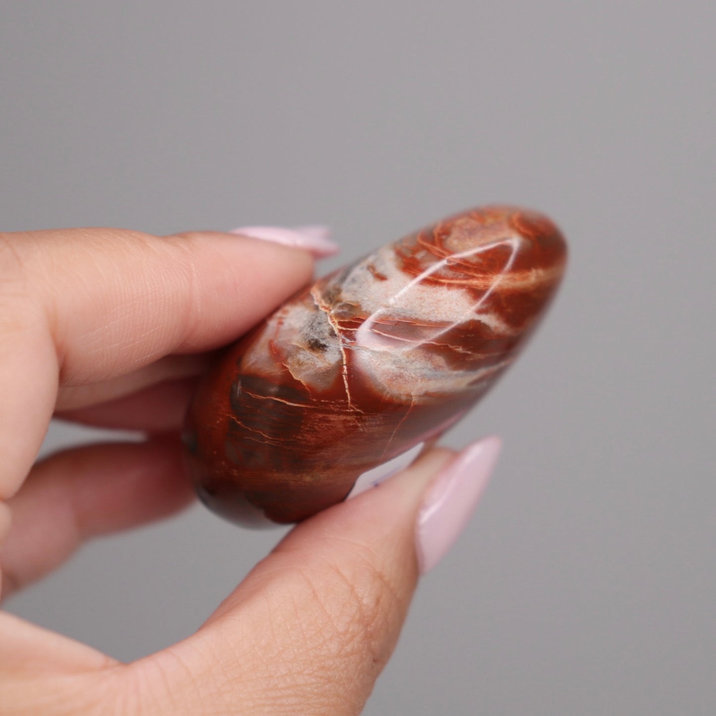 Petrified Wood Palm Stone | 1