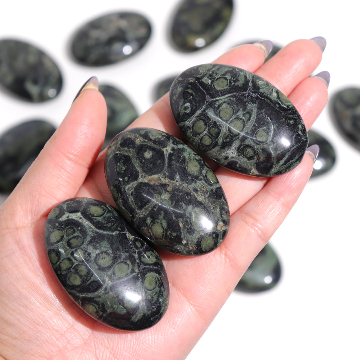 Kambaba Jasper Palm Stones