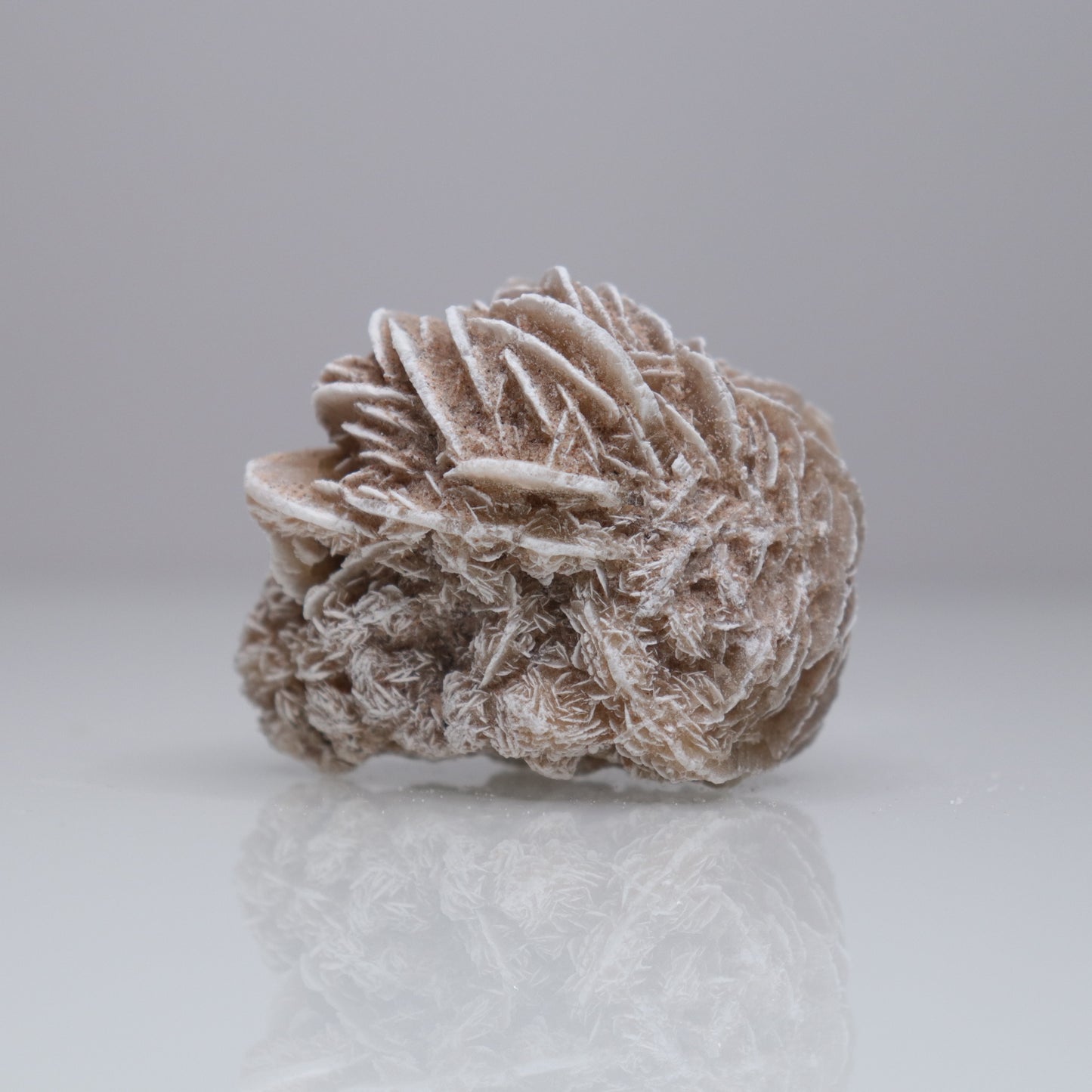 Desert Rose Cluster | 3