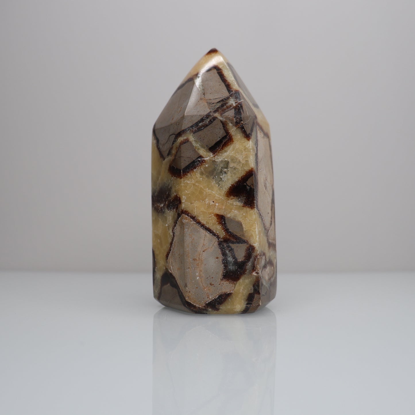 Septarian Tower | 1