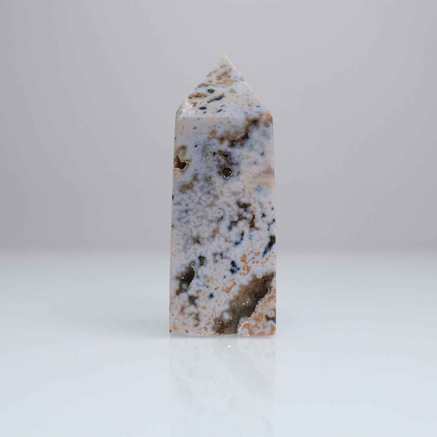 Ocean Jasper Tower | 4