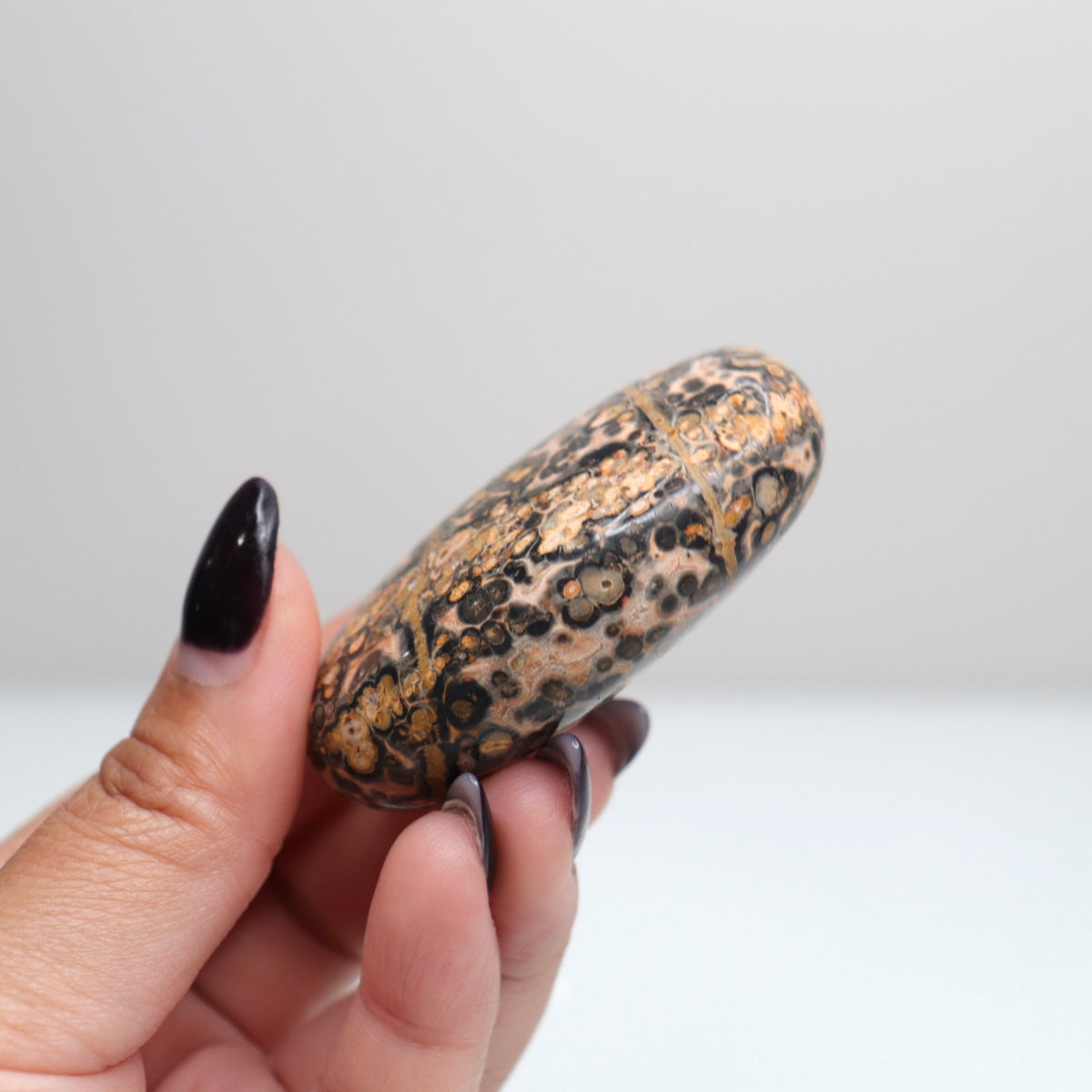 Leopard Skin Jasper Palm Stone | 25