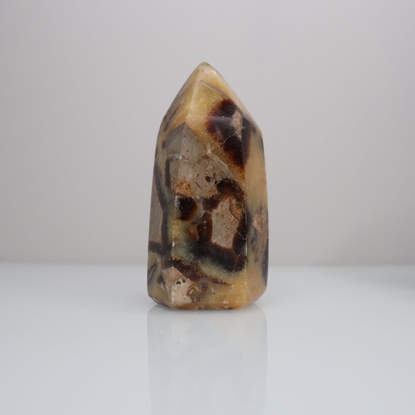 Septarian Tower | 4