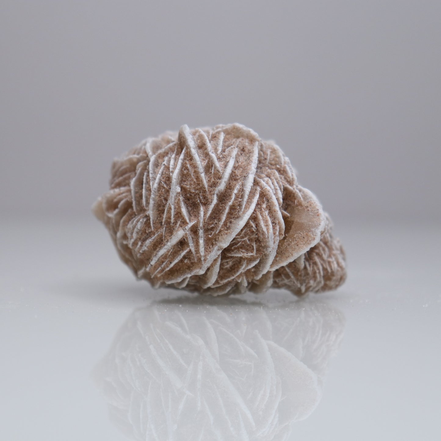 Desert Rose Cluster | 3