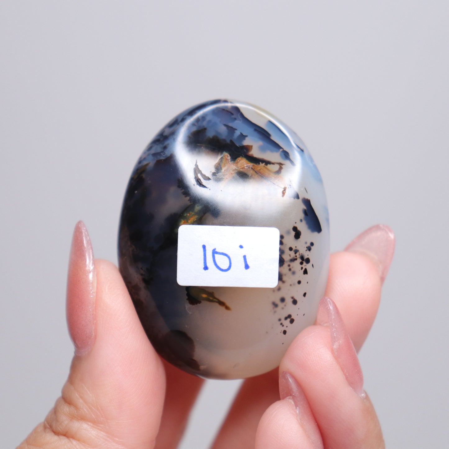 Dendritic Agate Palm Stone | 4