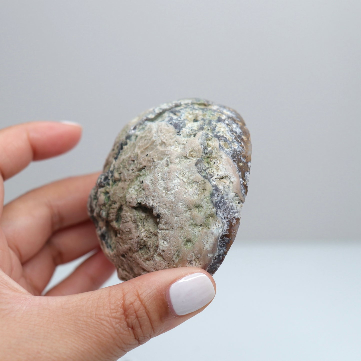Los Choyas Geode 8