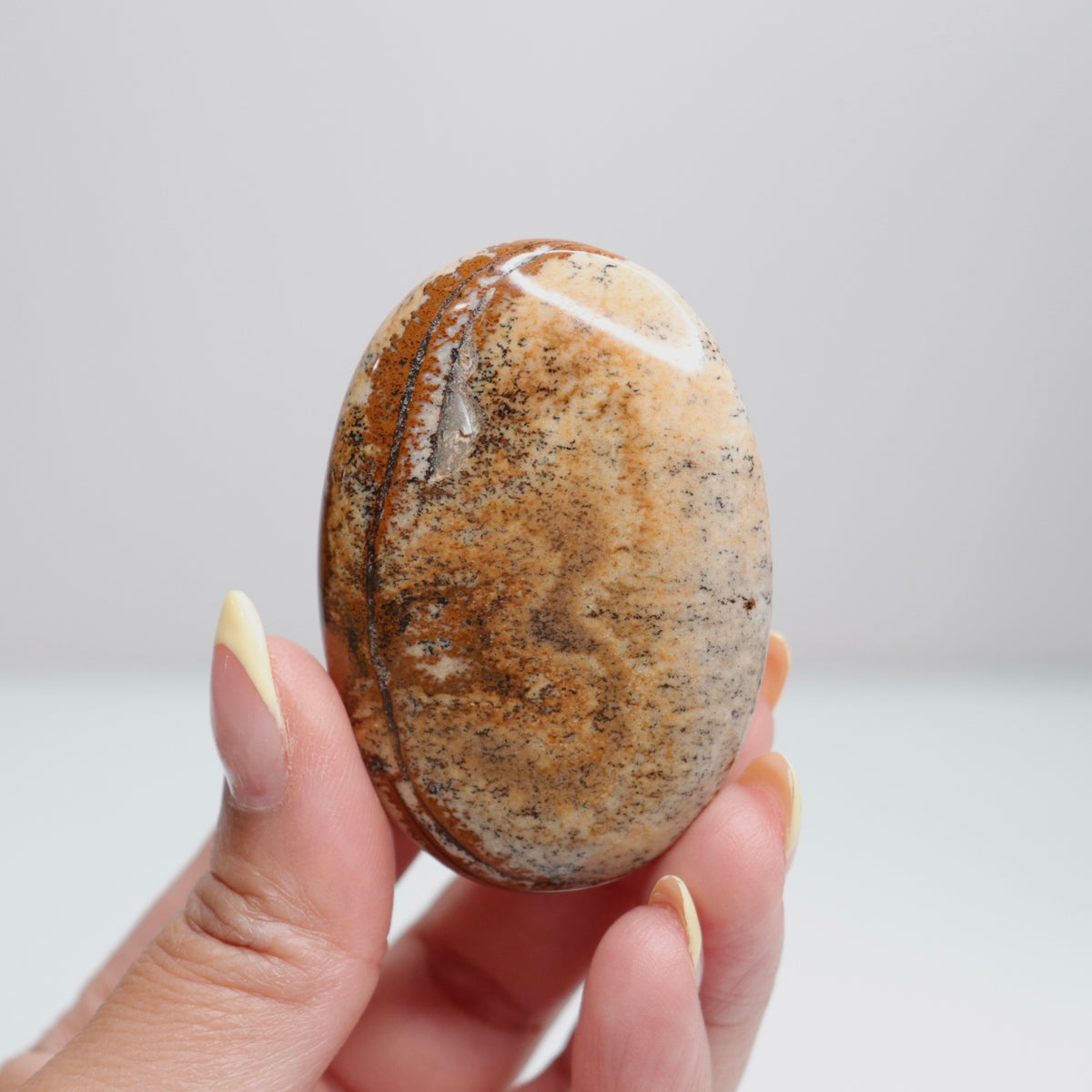 Picture Jasper Palm Stone 14