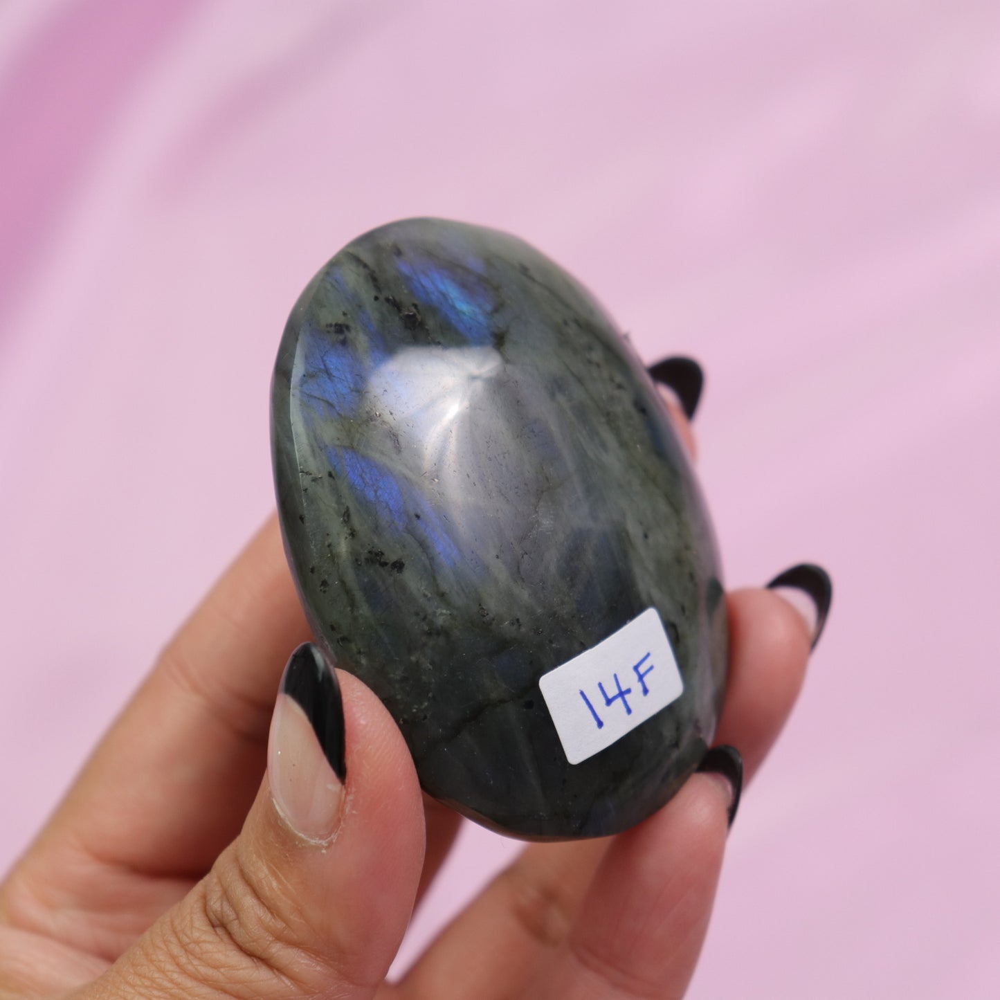 Labradorite Palm Stone | 8