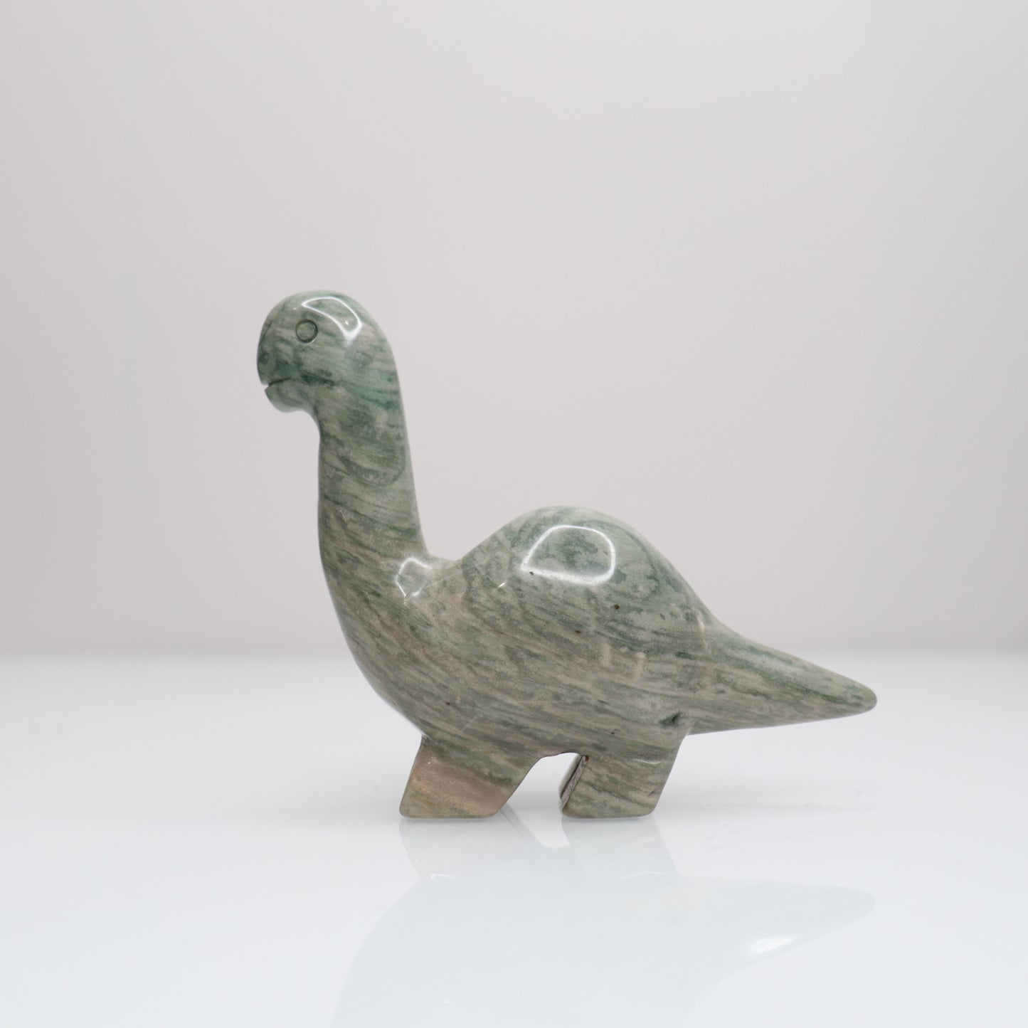 Polychrome Dinosaur | 8