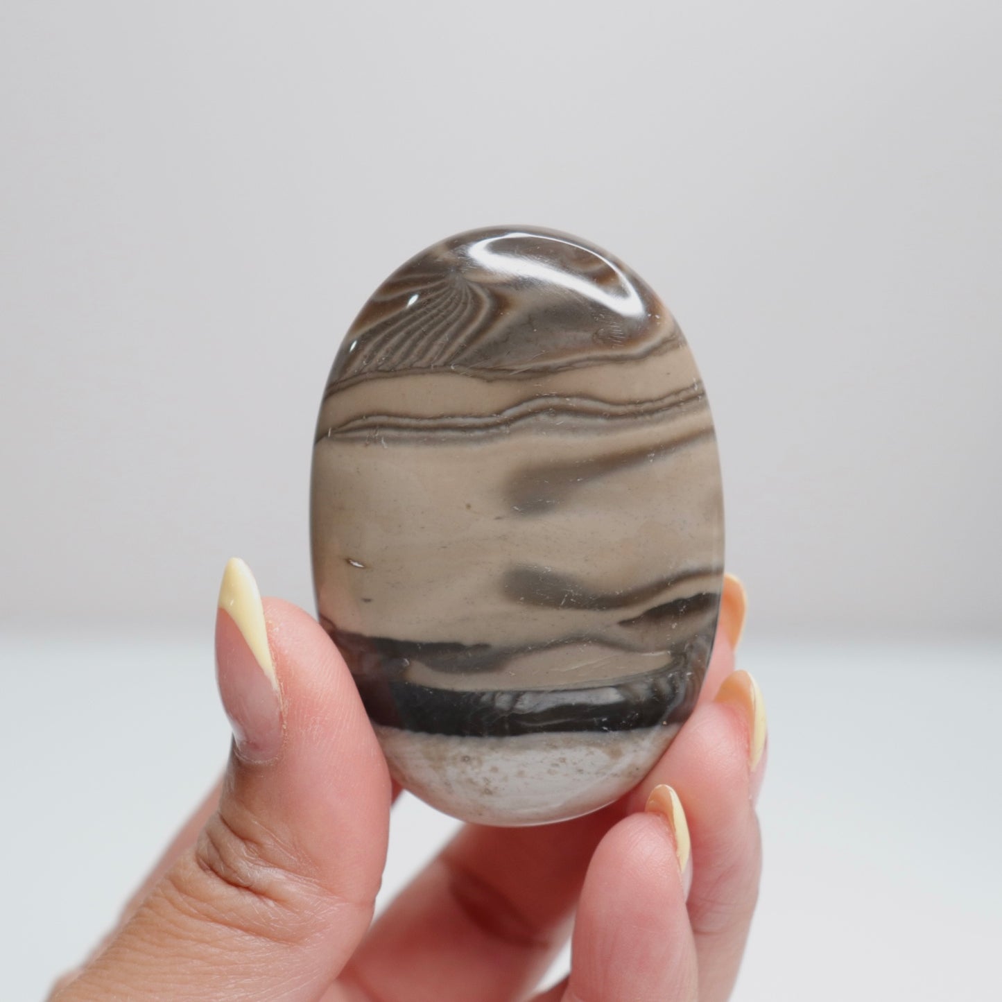Flint Palm Stone 13