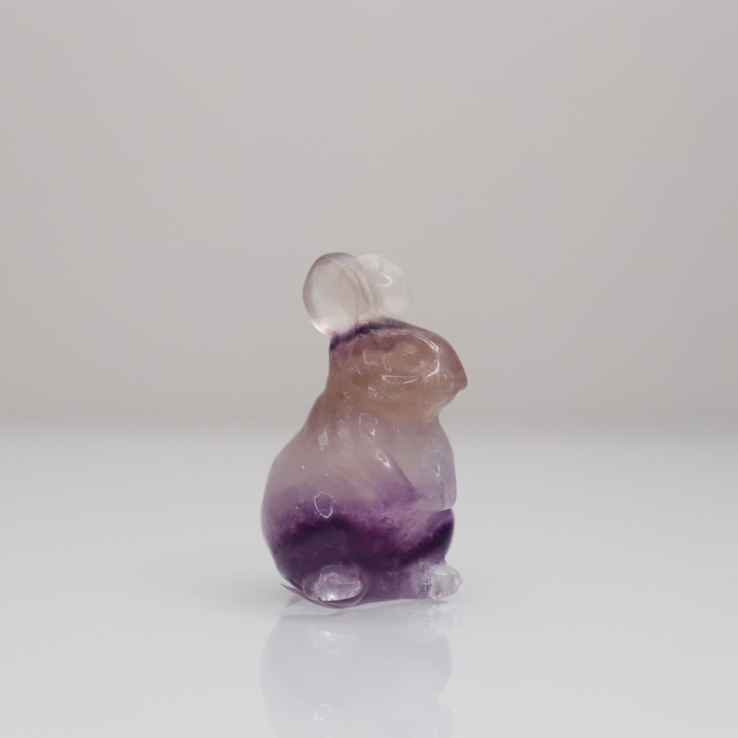 Fluorite Bunny | 5