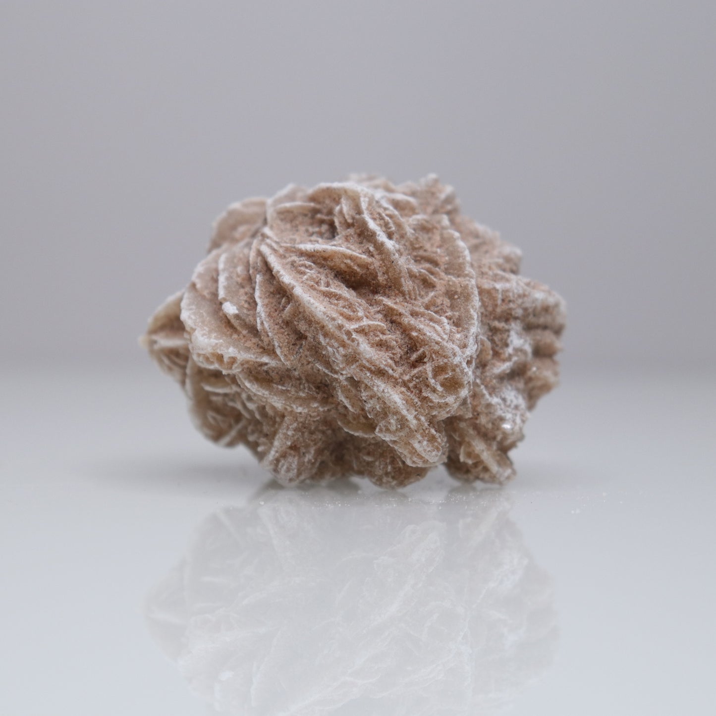 Desert Rose Cluster | 2