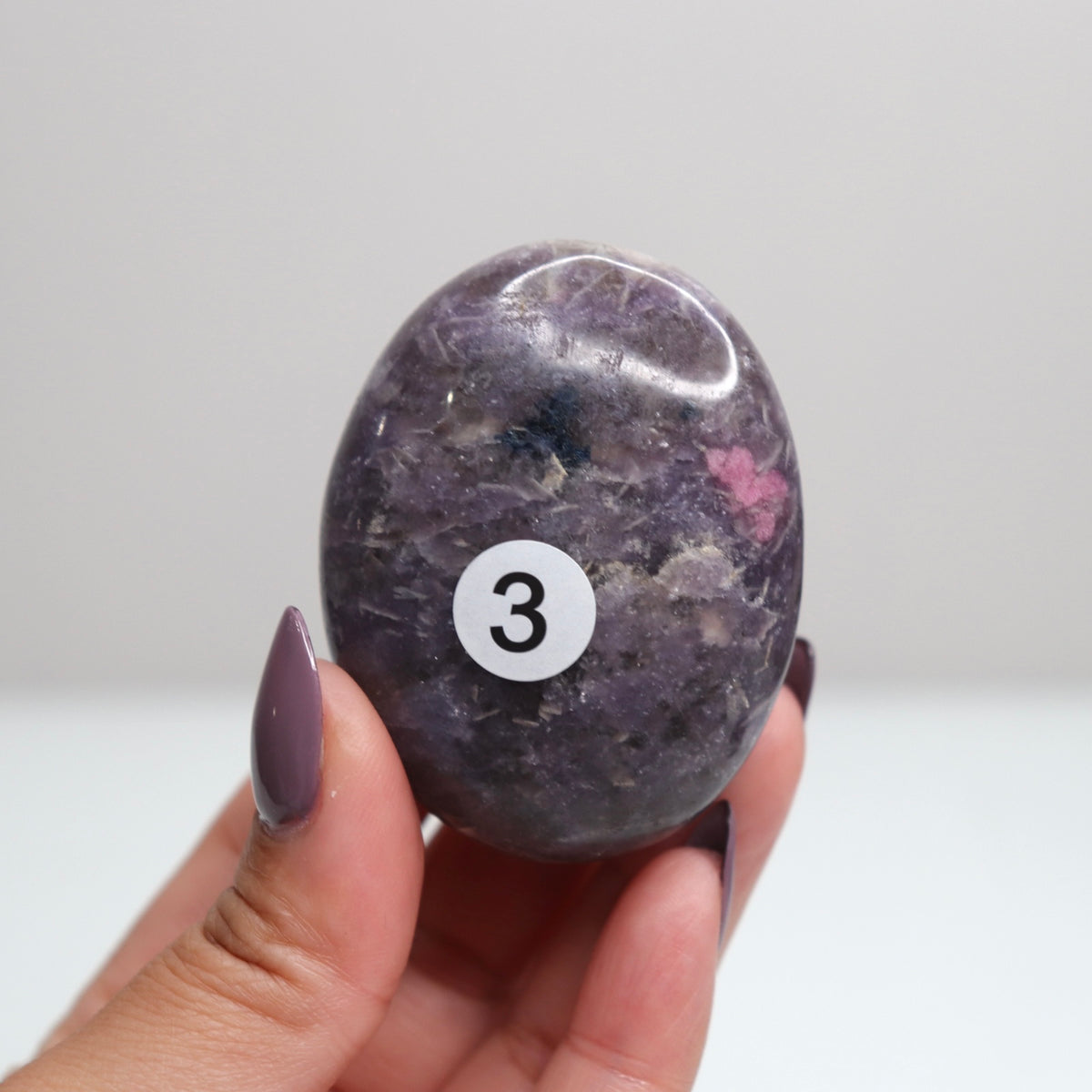 Unicorn Stone Palm Stone 3