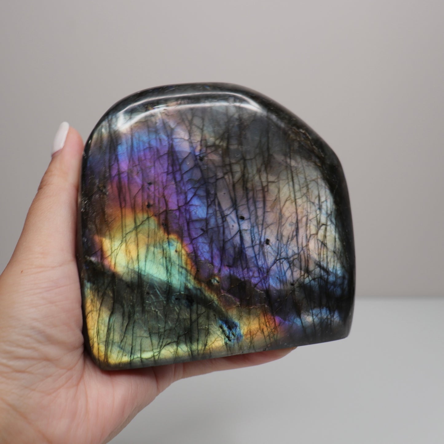 Rainbow Labradorite Freeform | 10 *Large*