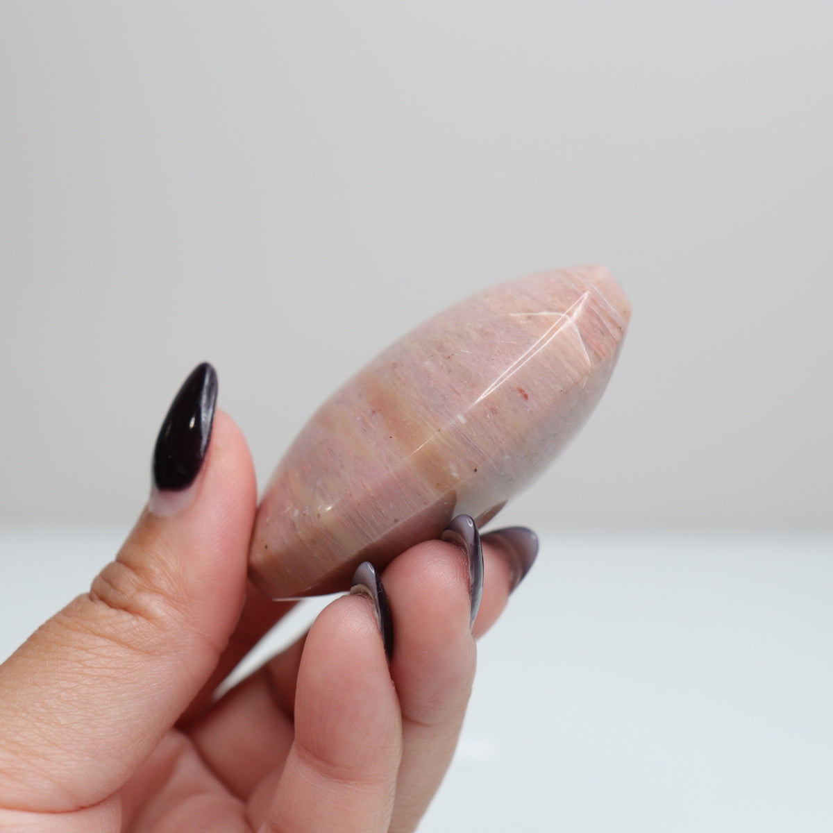 Pink Petrified Wood Palm Stone | 164