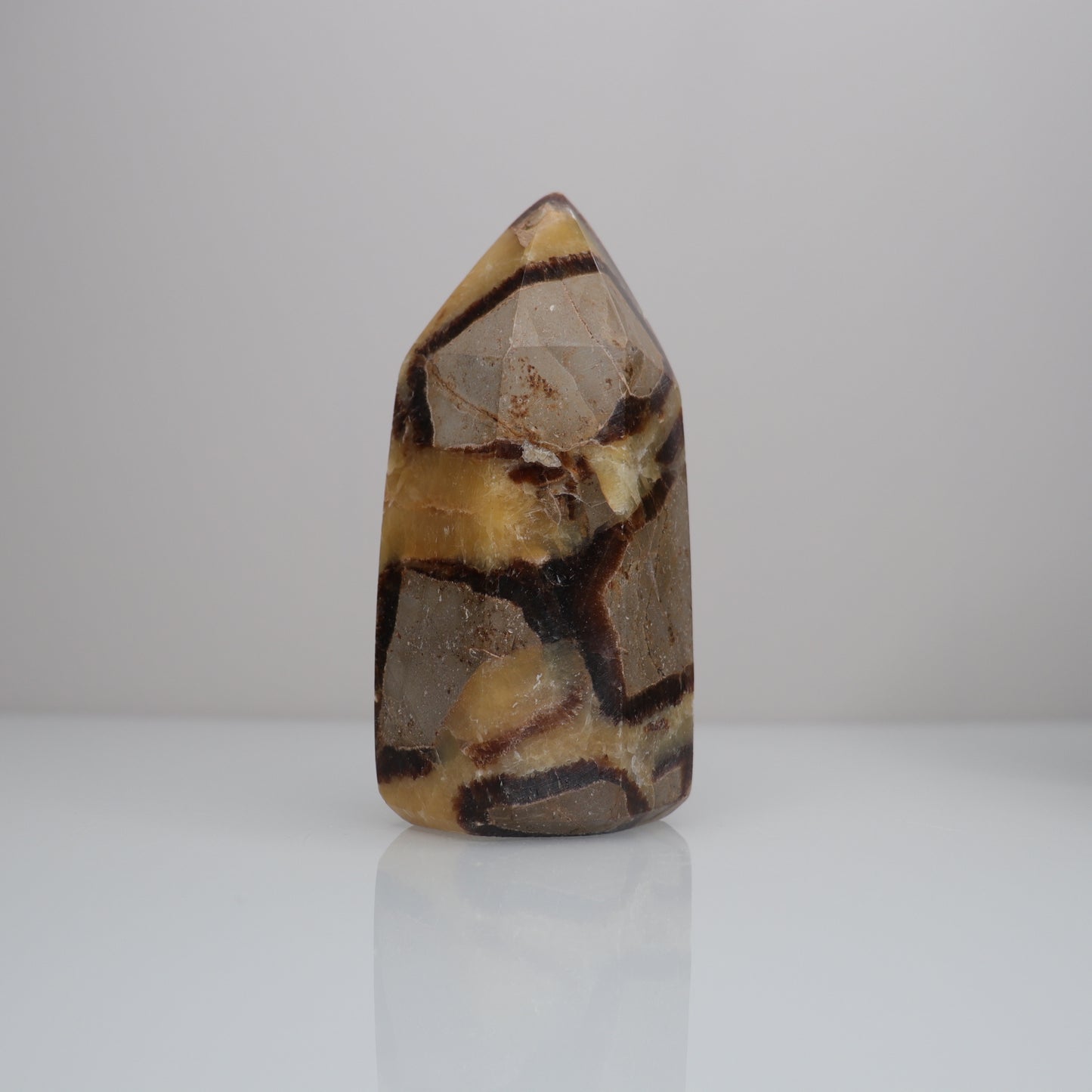 Septarian Tower | 4