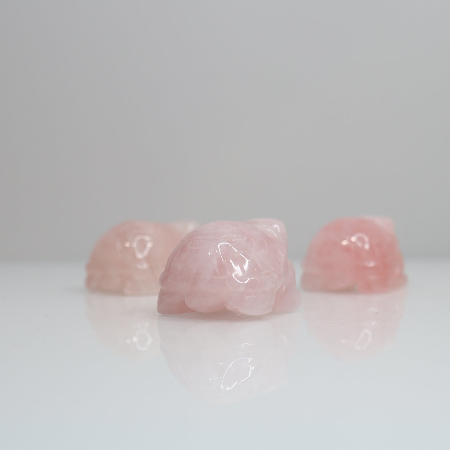 Rose Quartz Turtle | 2"