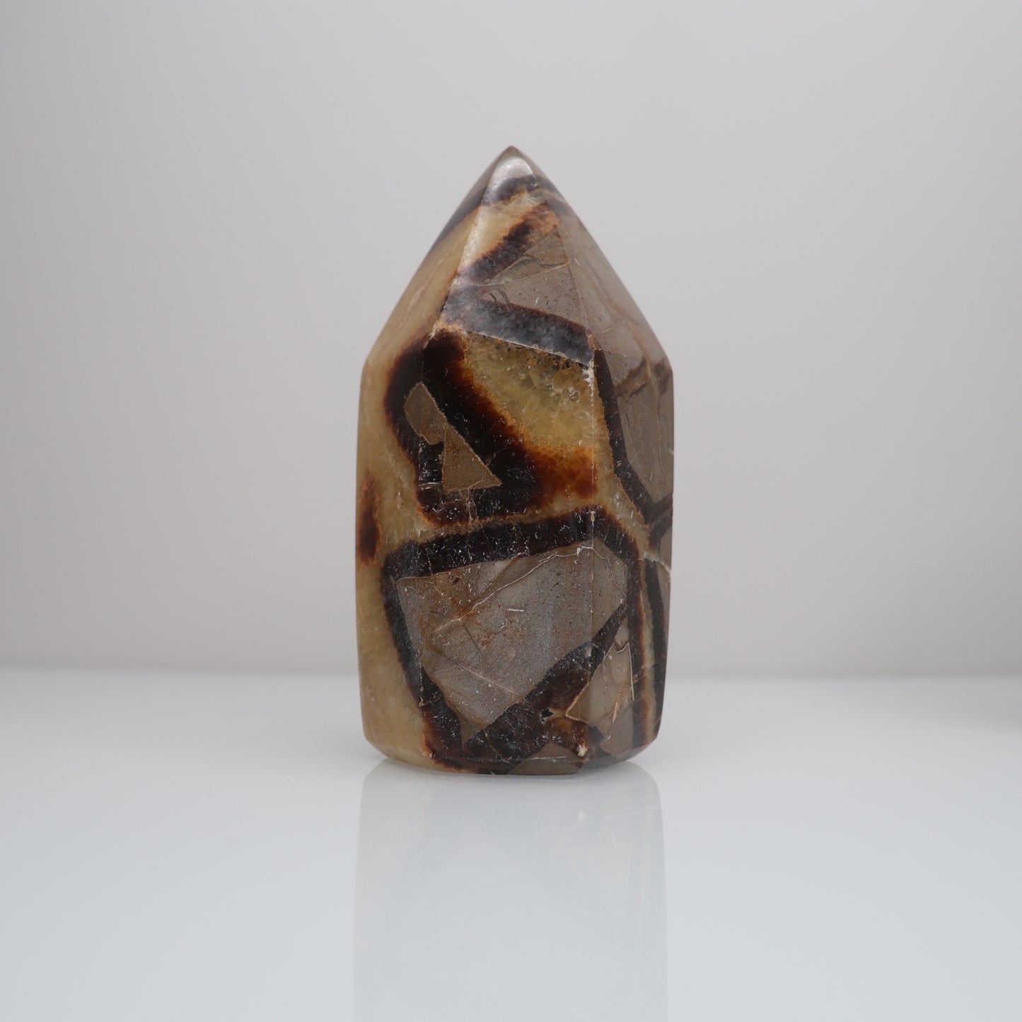 Septarian Tower | 2