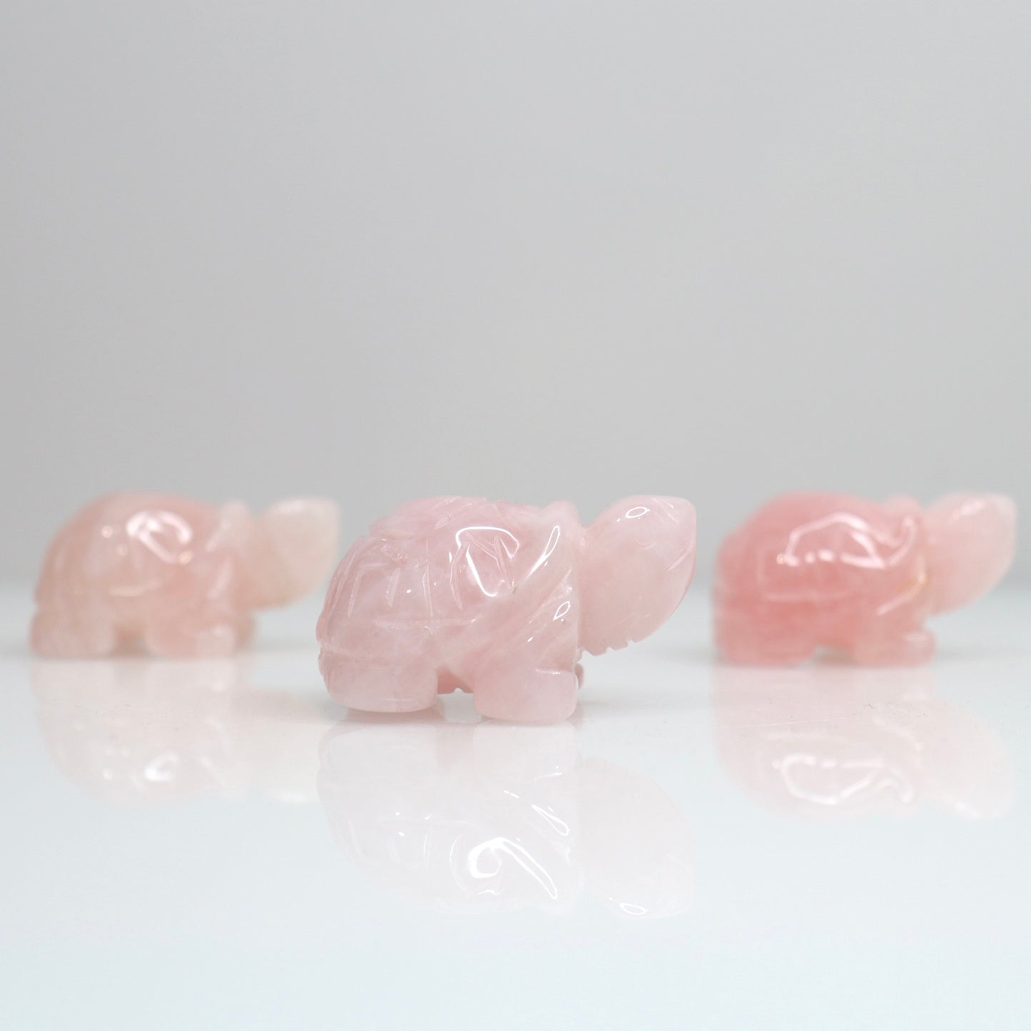 Rose Quartz Turtle | 2"