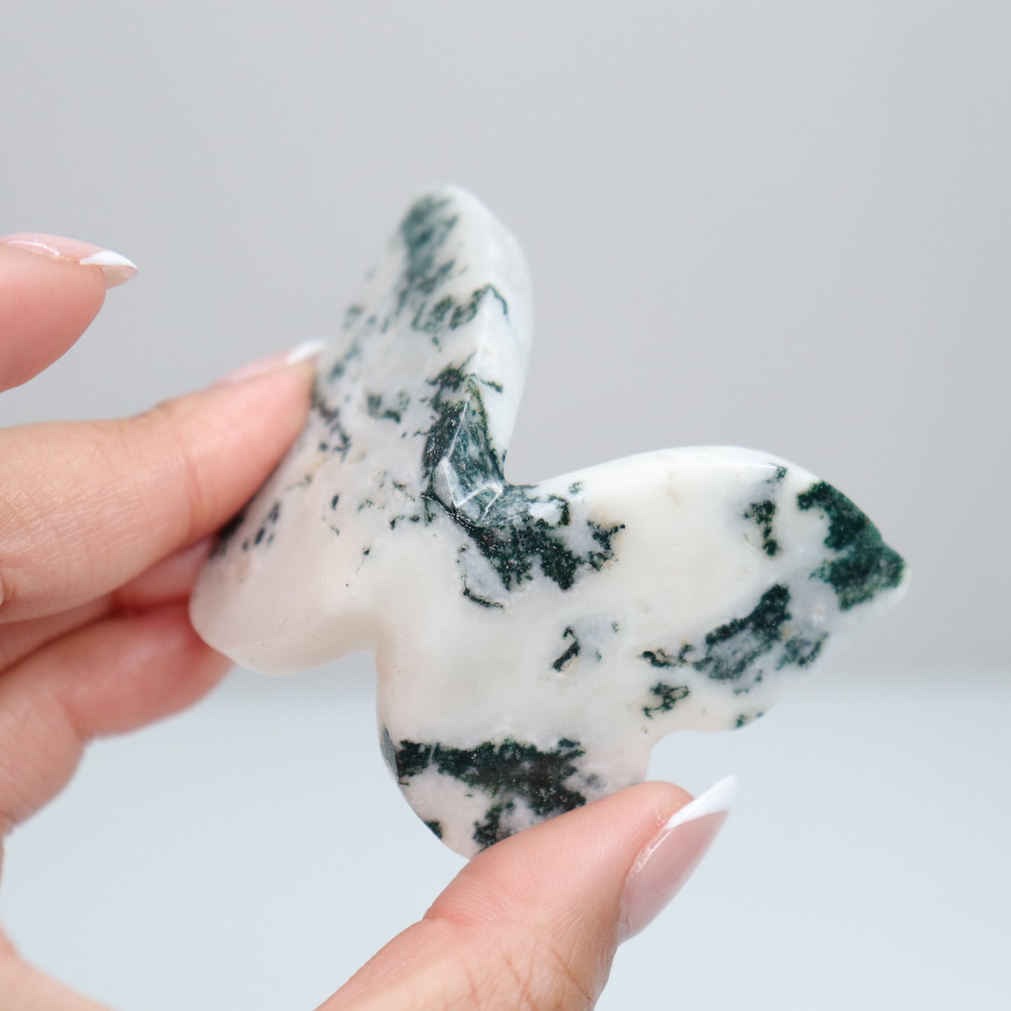 Tree Agate Butterfly D