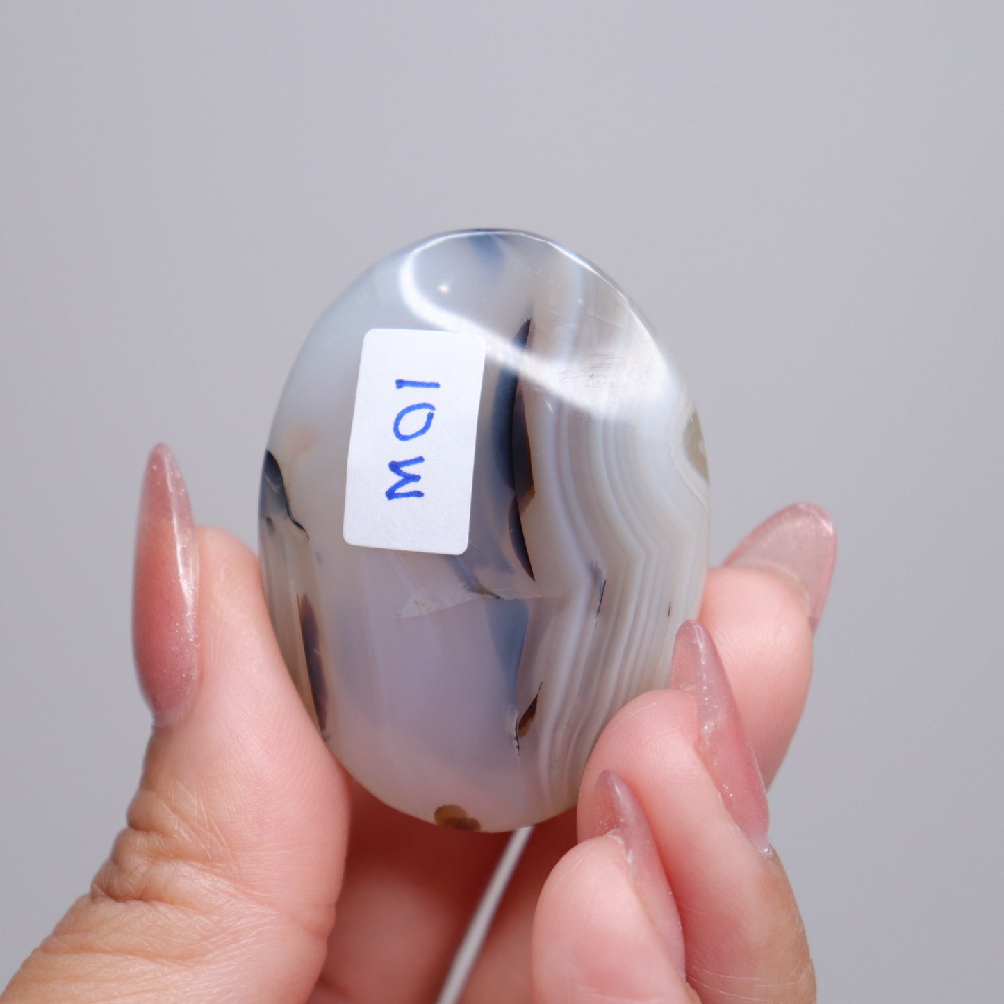 Dendritic Agate Palm Stone | 3