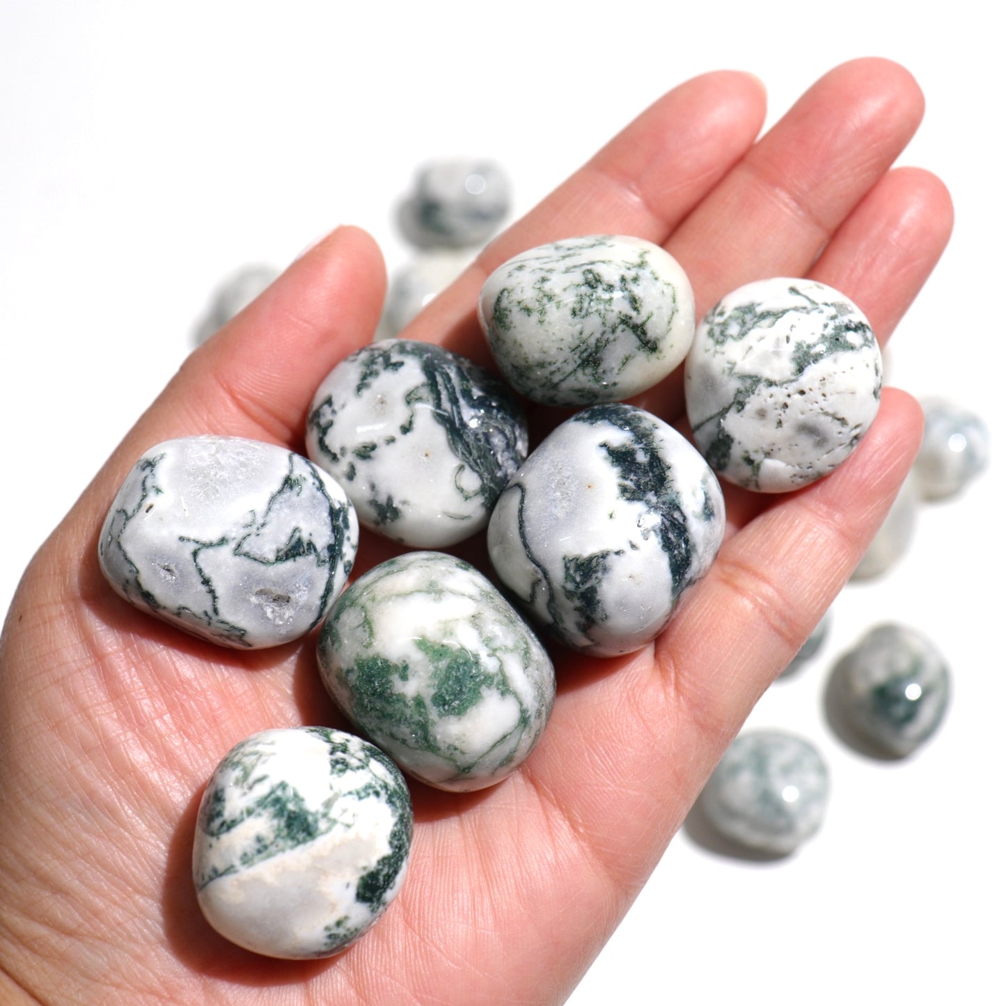Tree Agate Tumbles