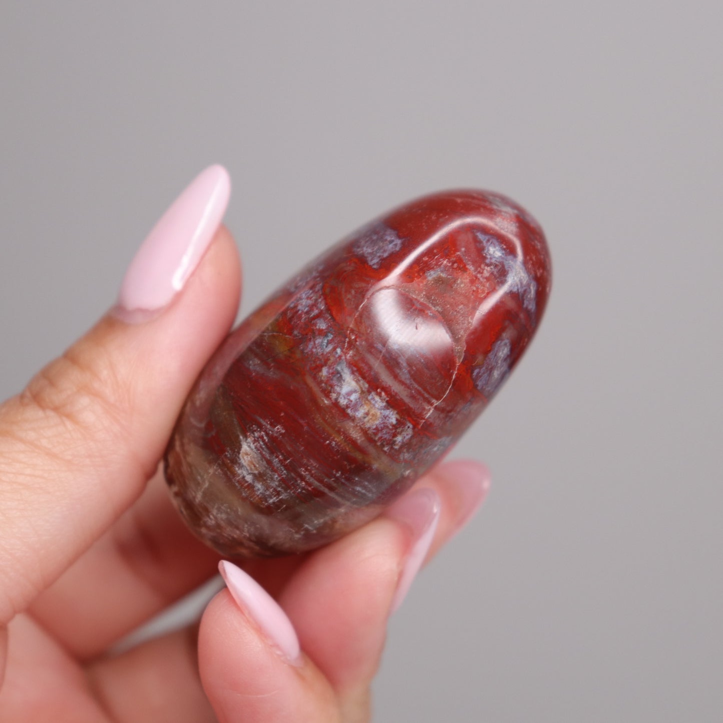 Petrified Wood Palm Stone | 4