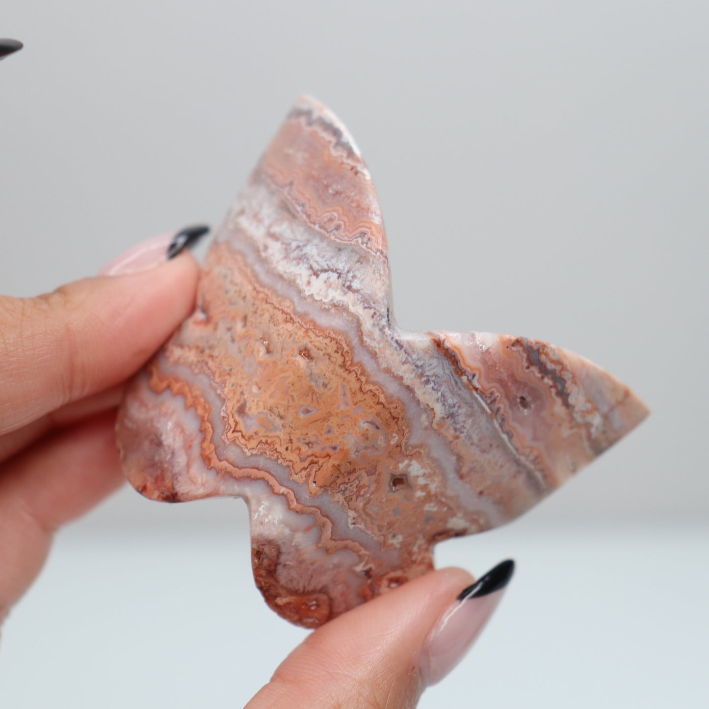 3D Pink Lace Agate Butterfly | F