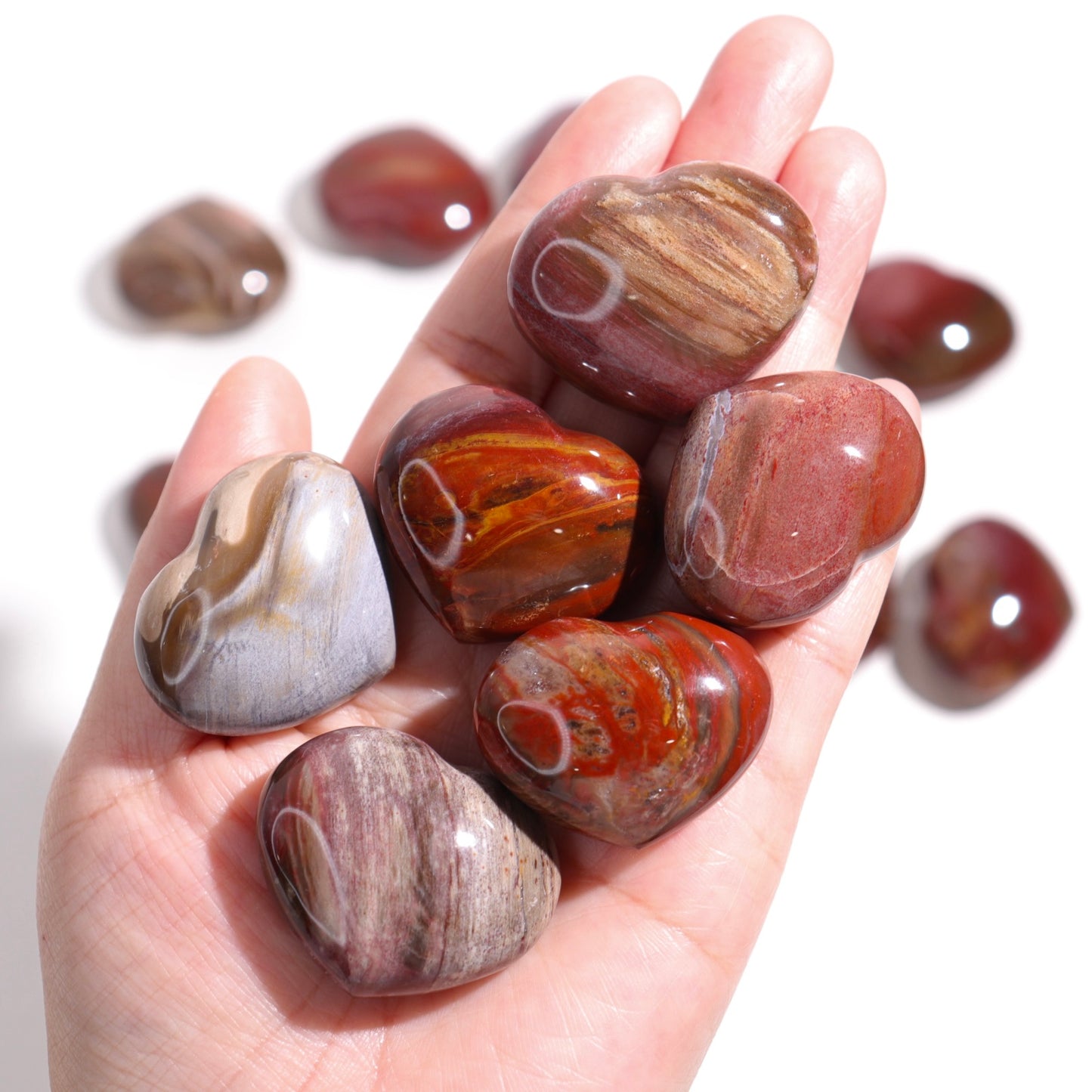 Petrified Wood Hearts