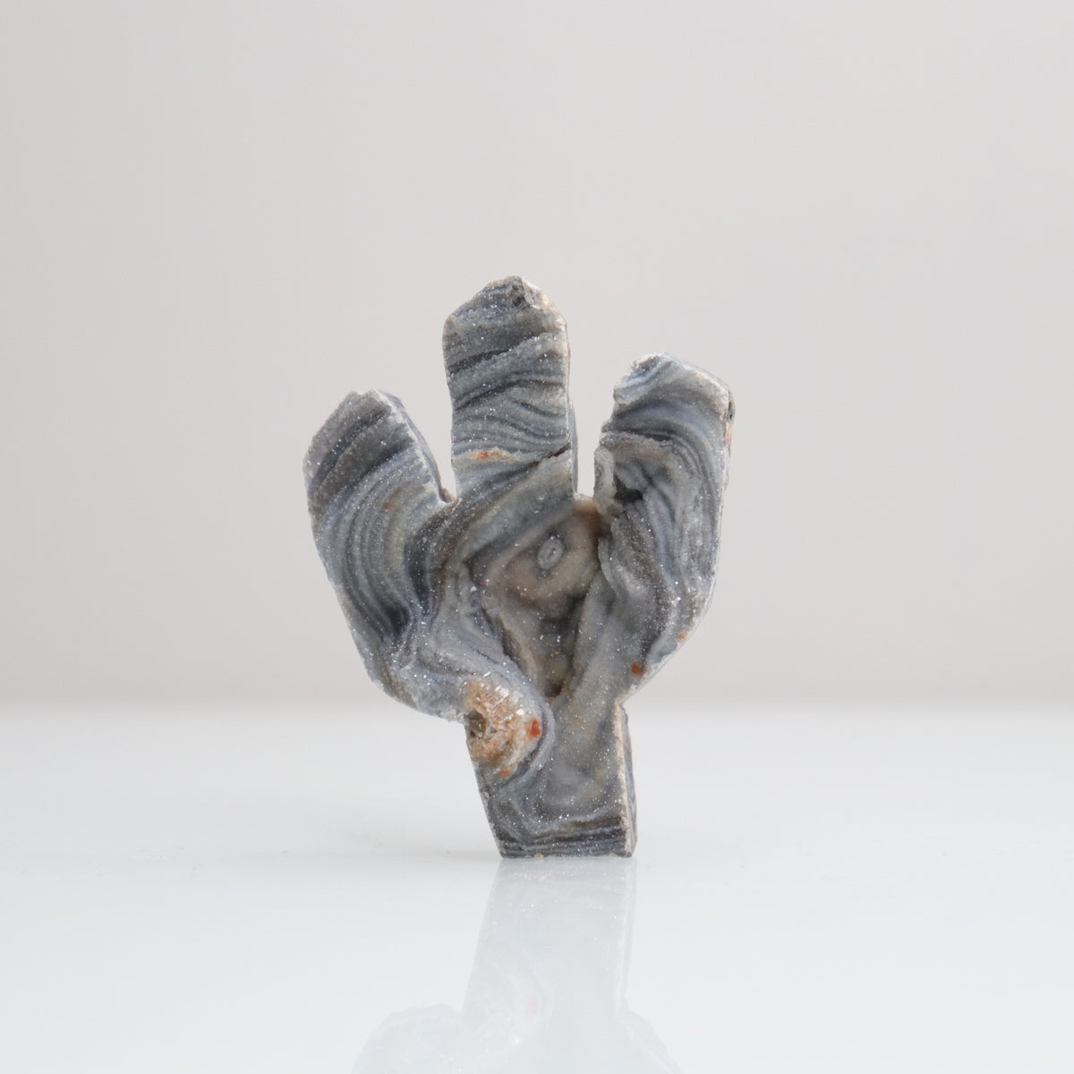 Chalcedony Cactus 41