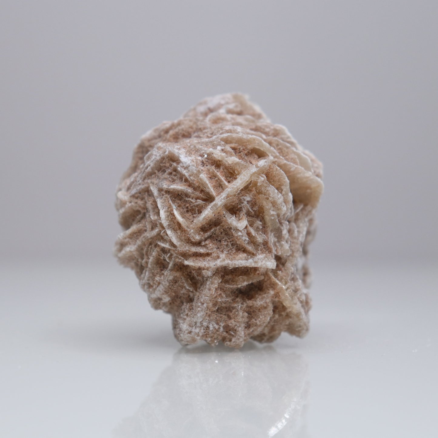 Desert Rose Cluster | 2