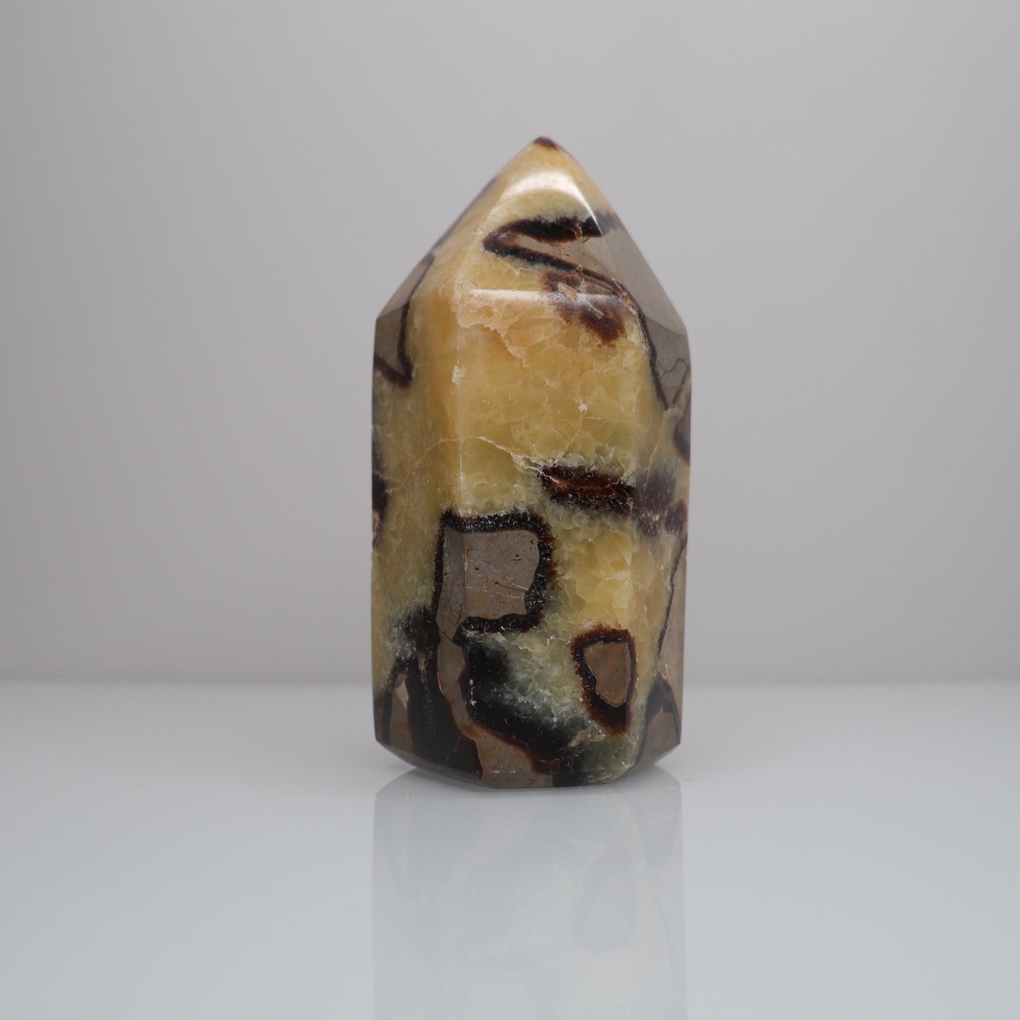 Septarian Tower | 1