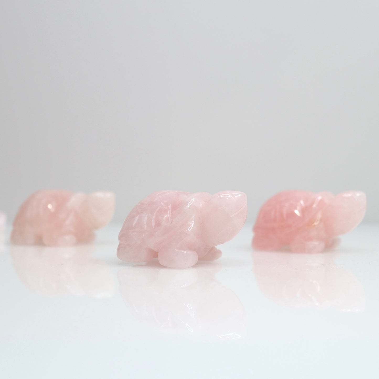Rose Quartz Turtle | 2"