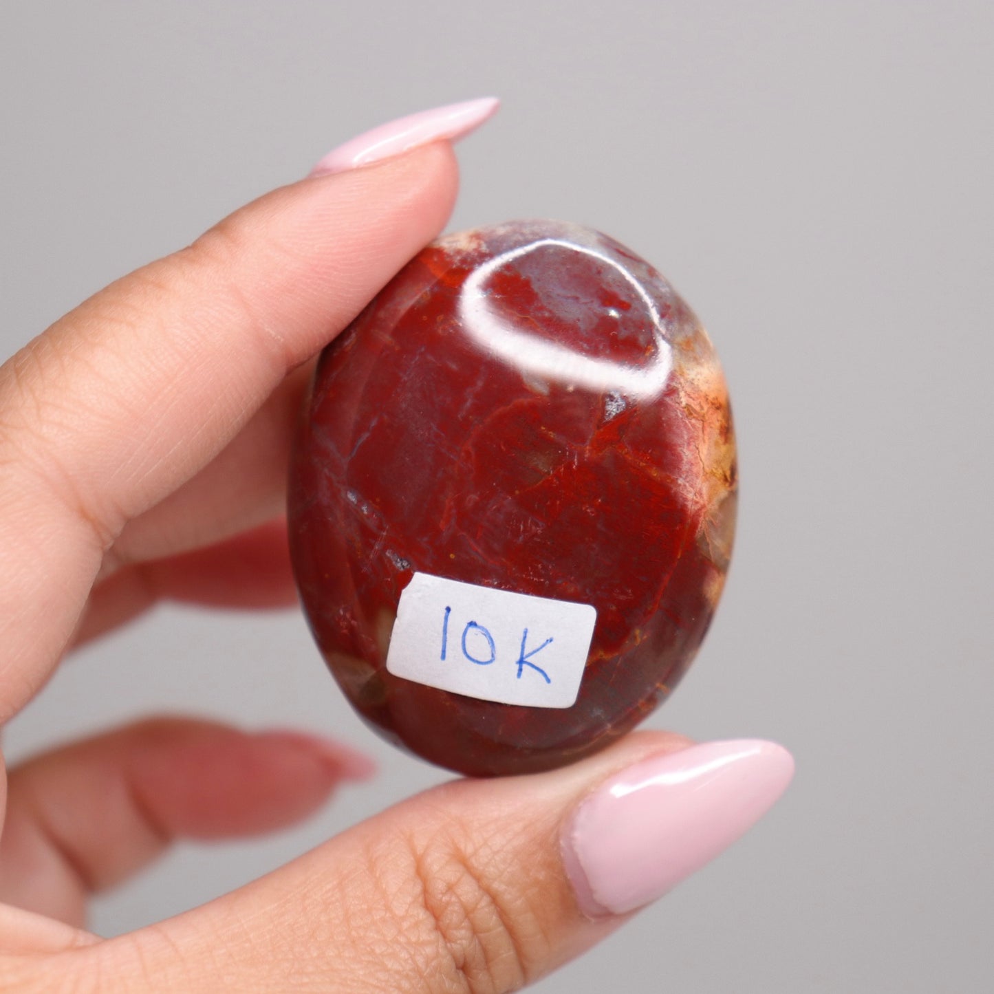 Petrified Wood Palm Stone | 8