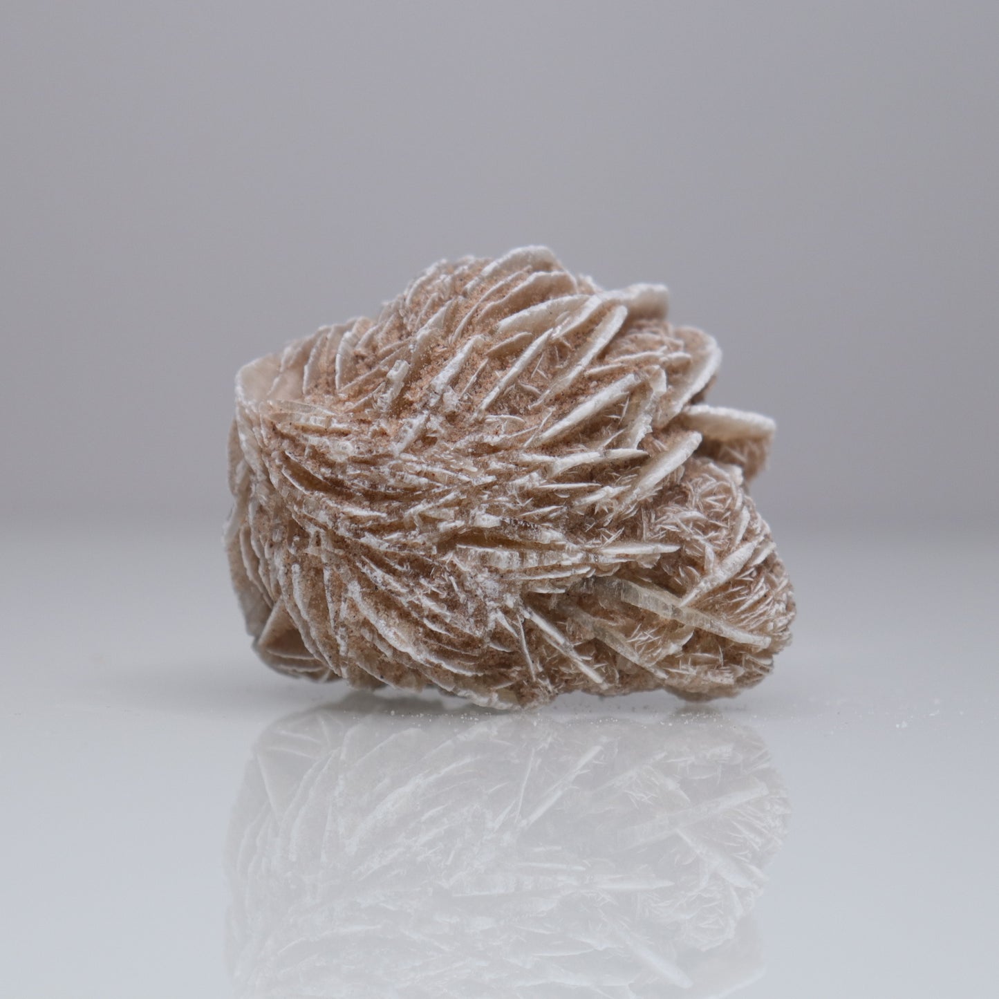 Desert Rose Cluster | 3