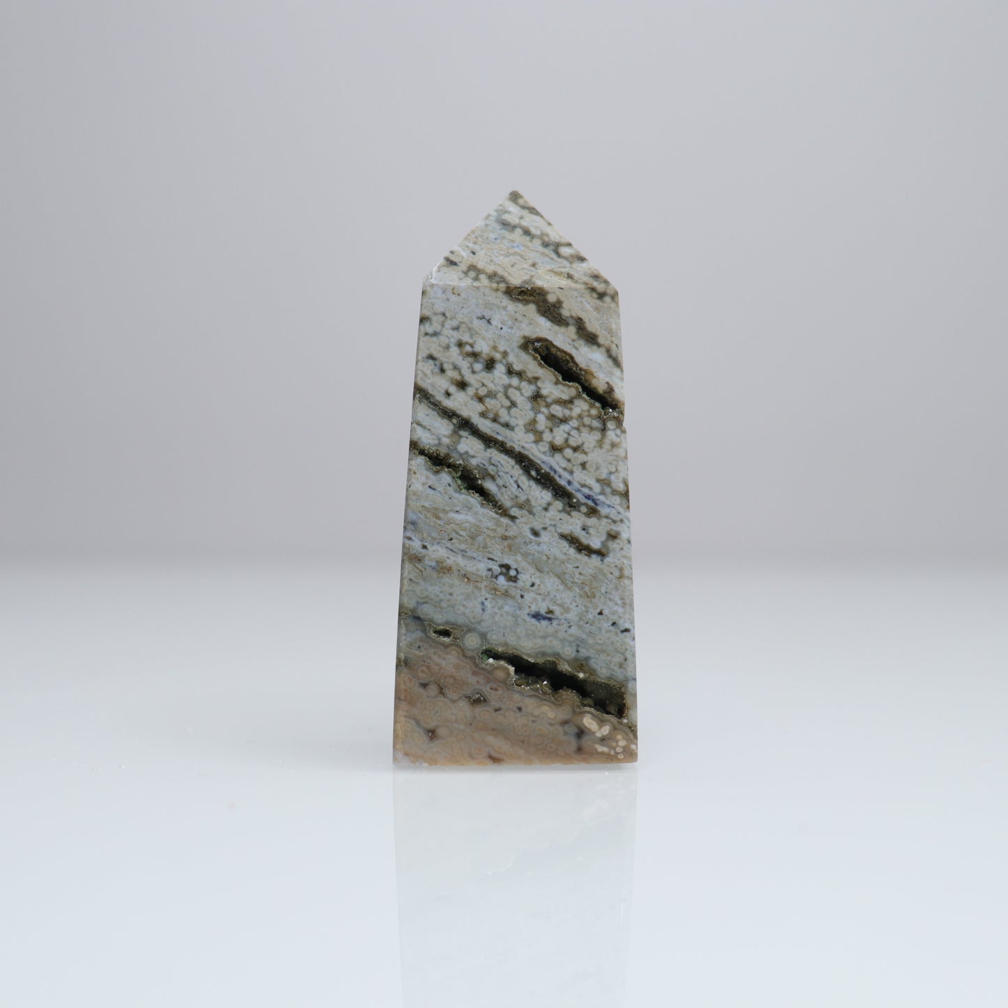 Ocean Jasper Tower | 2