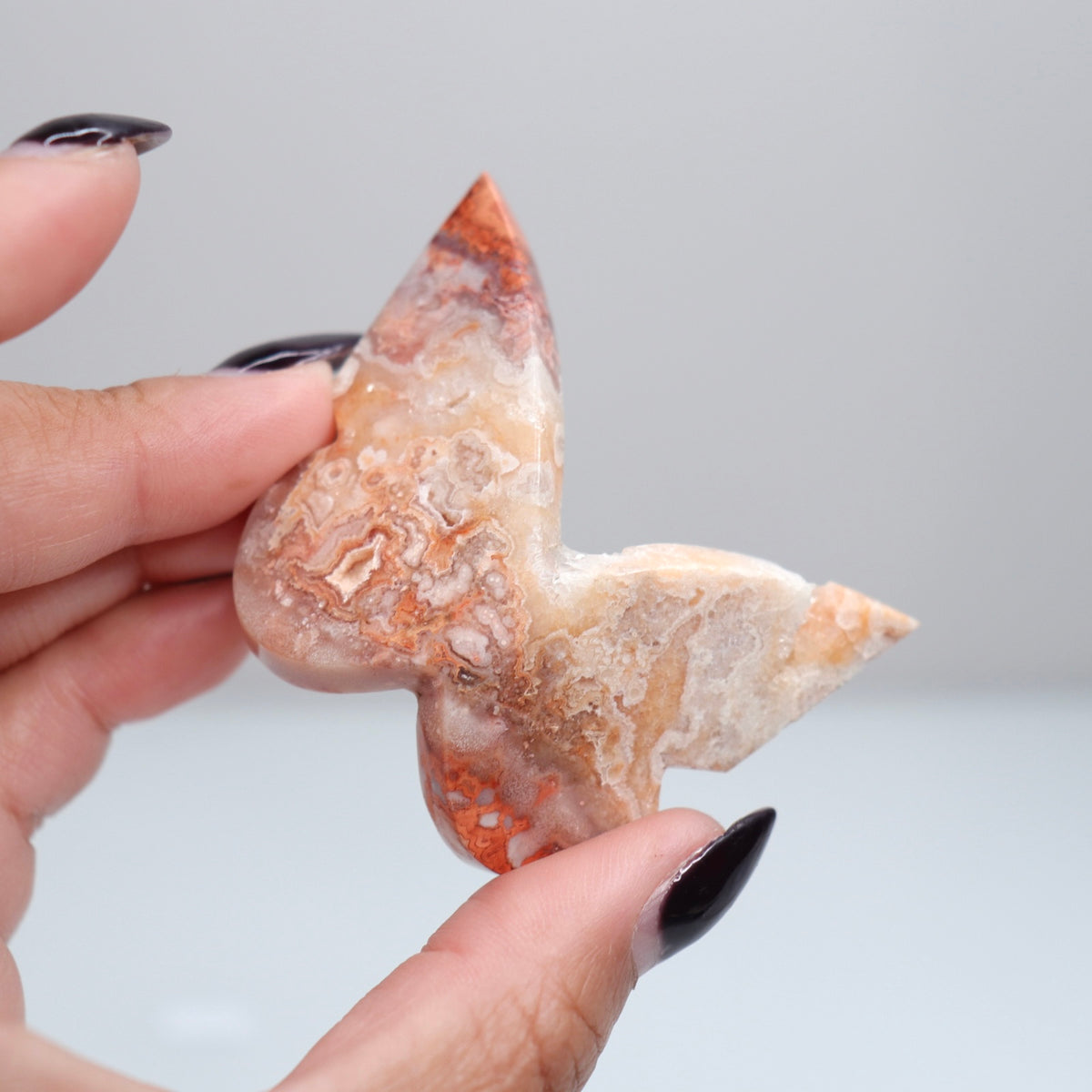 Crazy Lace Agate Butterfly | 28