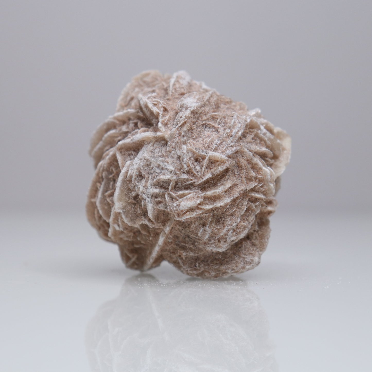 Desert Rose Cluster | 2