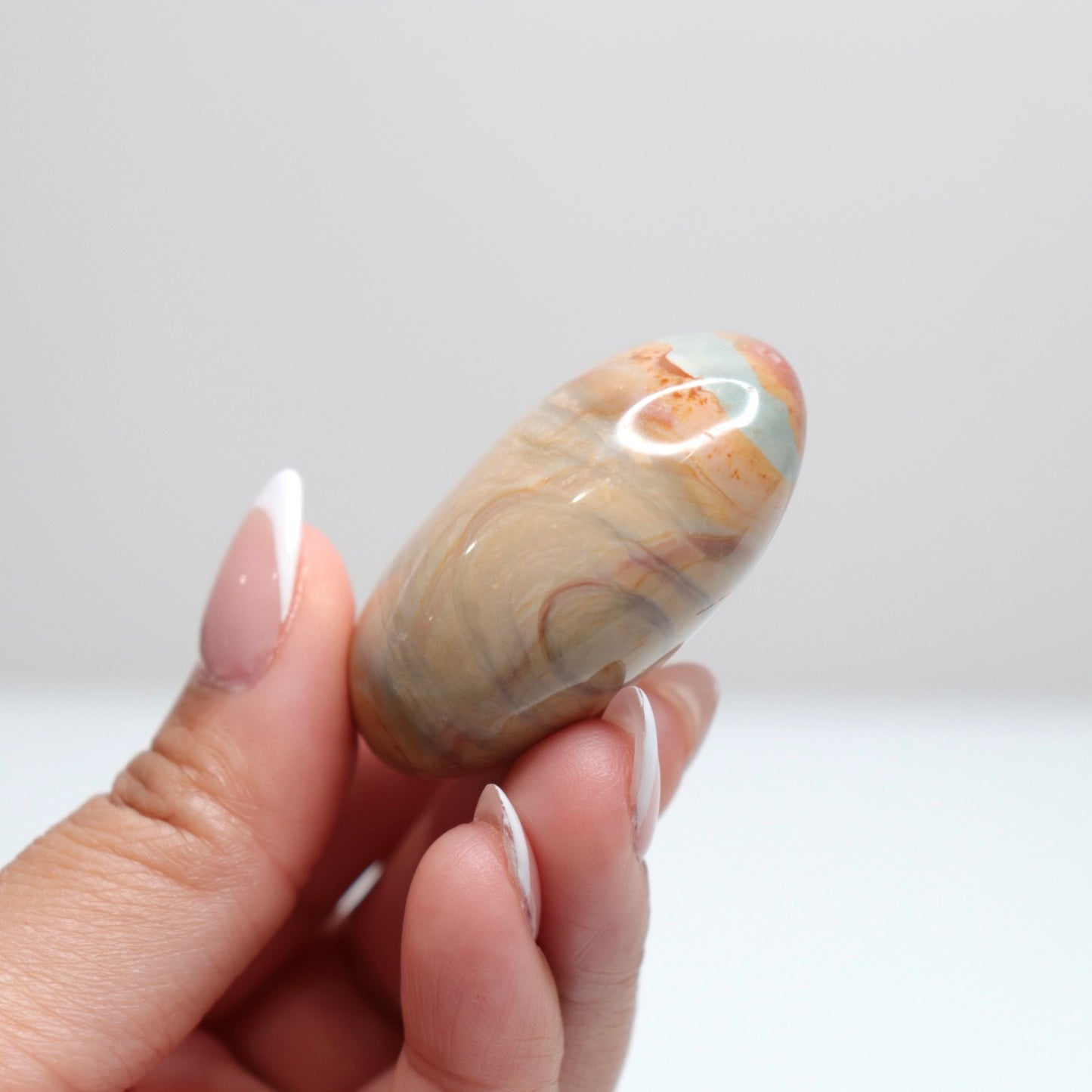 Polychrome Jasper Palm Stone | 1