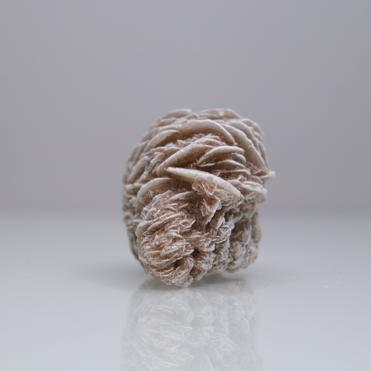 Desert Rose Cluster | 3
