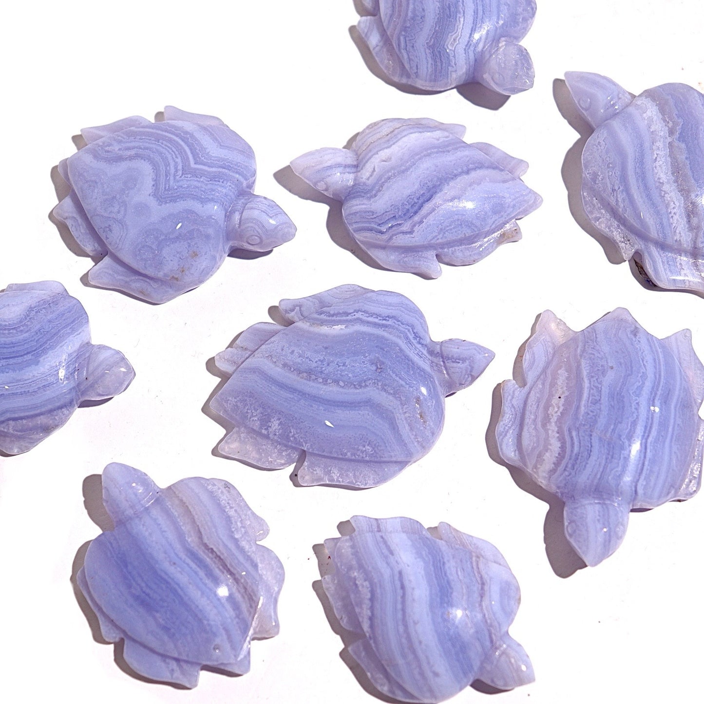 Blue Lace Agate Sea Turtles
